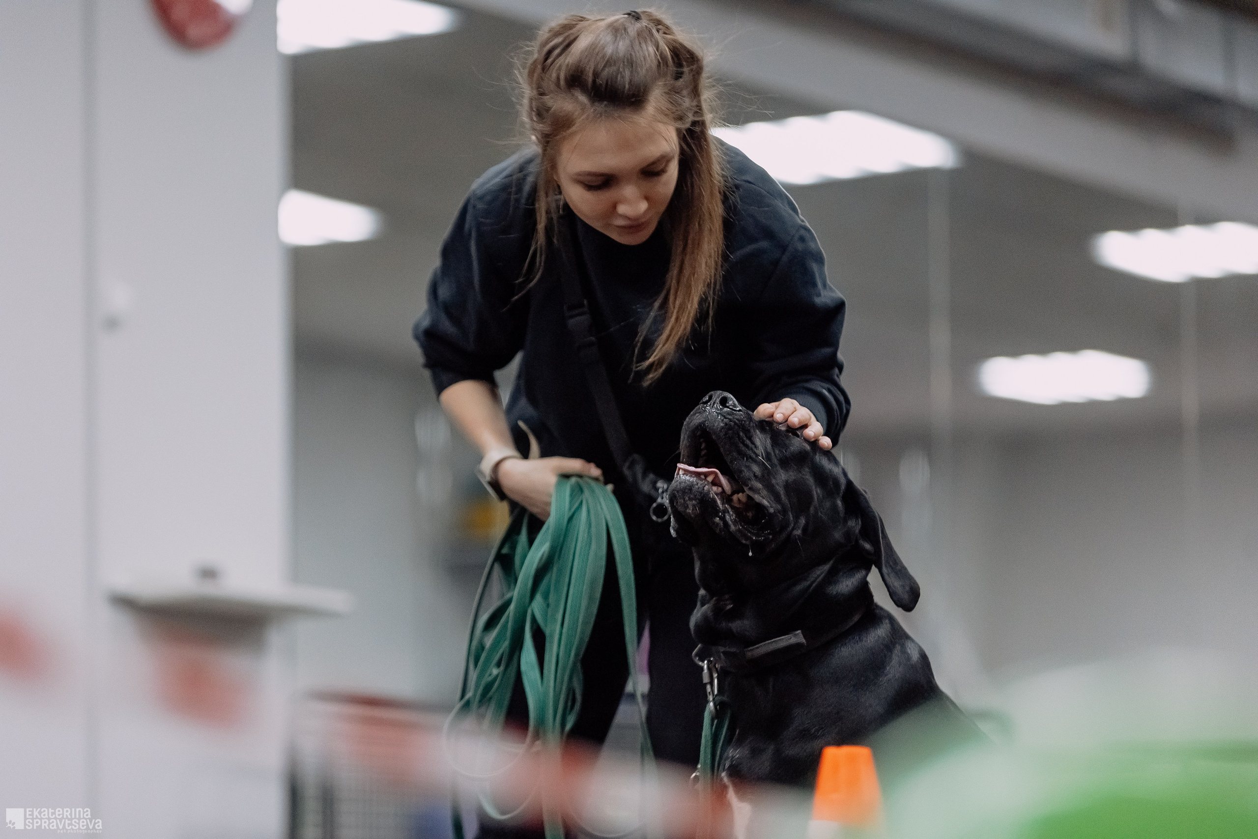 Праздник NoseWork. Фотограф Анималист Екатерина Справцева в Нижнем Новгороде