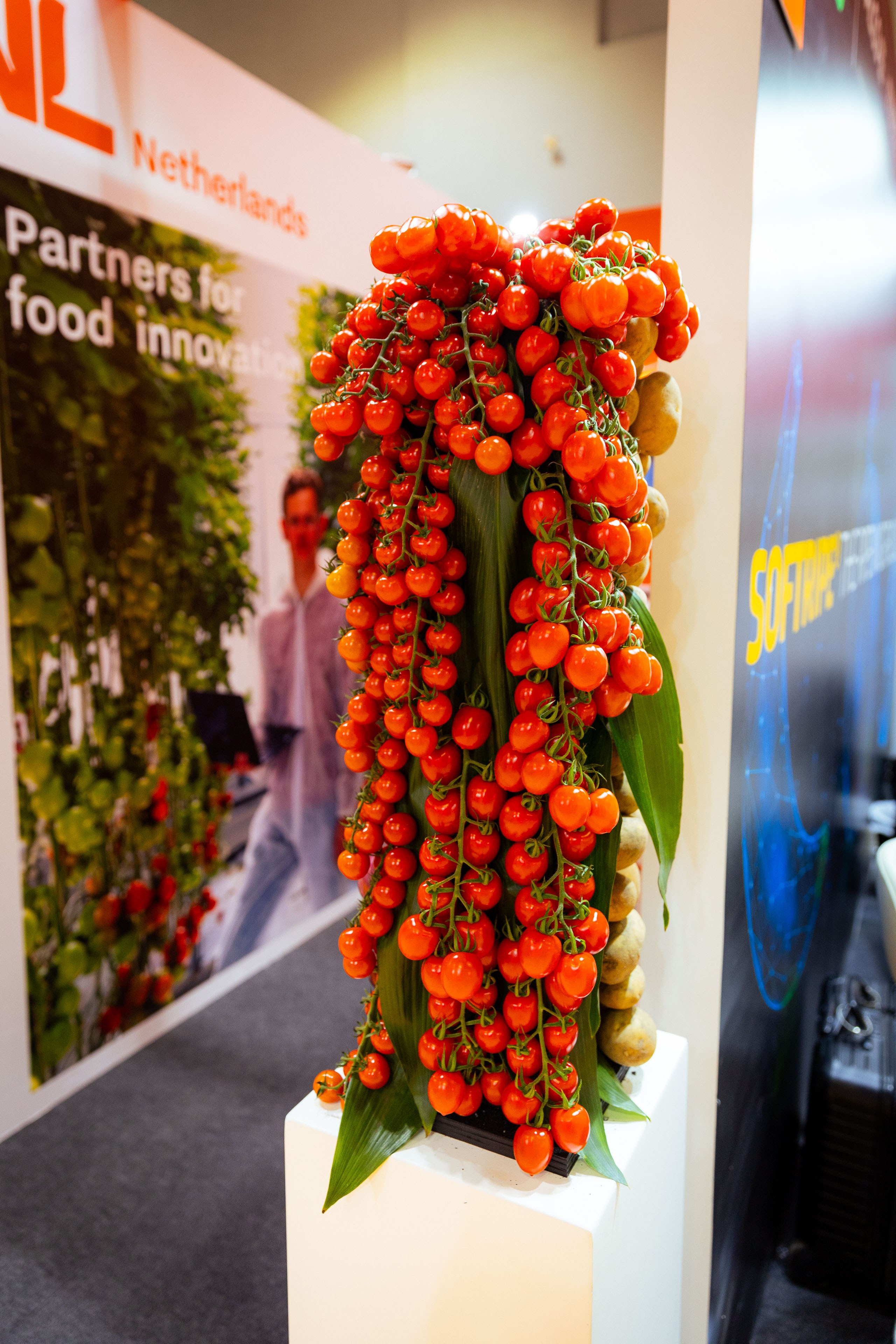 Asia Fruit Logistica [Гонконг 4–6 сентября 2024 г.]. Фотограф Виноградов Константин