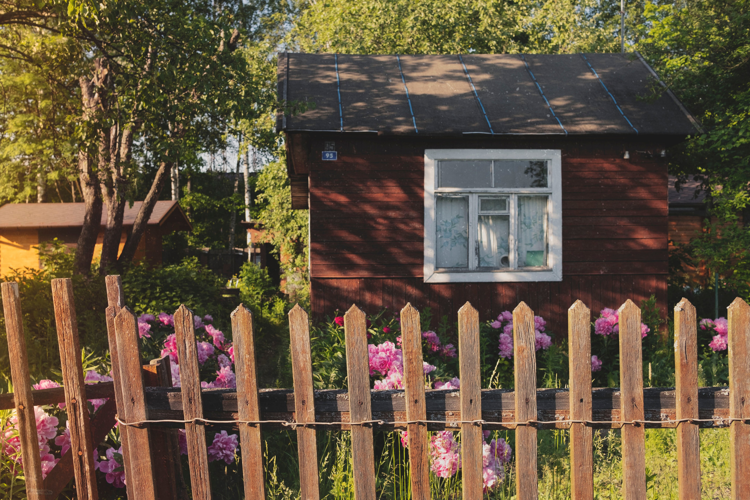 Дача, 2020. Портретный фотограф в Москве Евгения Яковенко