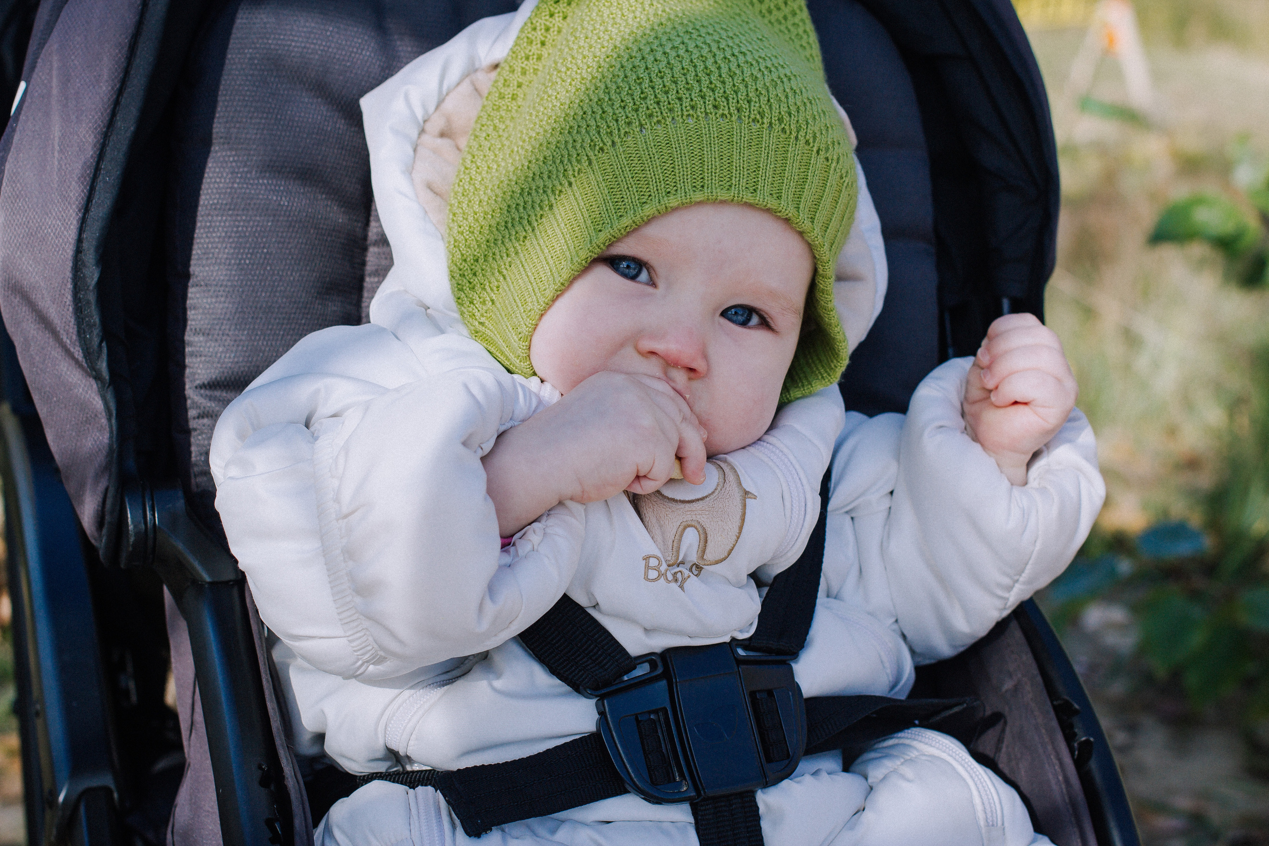 Осенняя прогулка. Фотографии с любовью