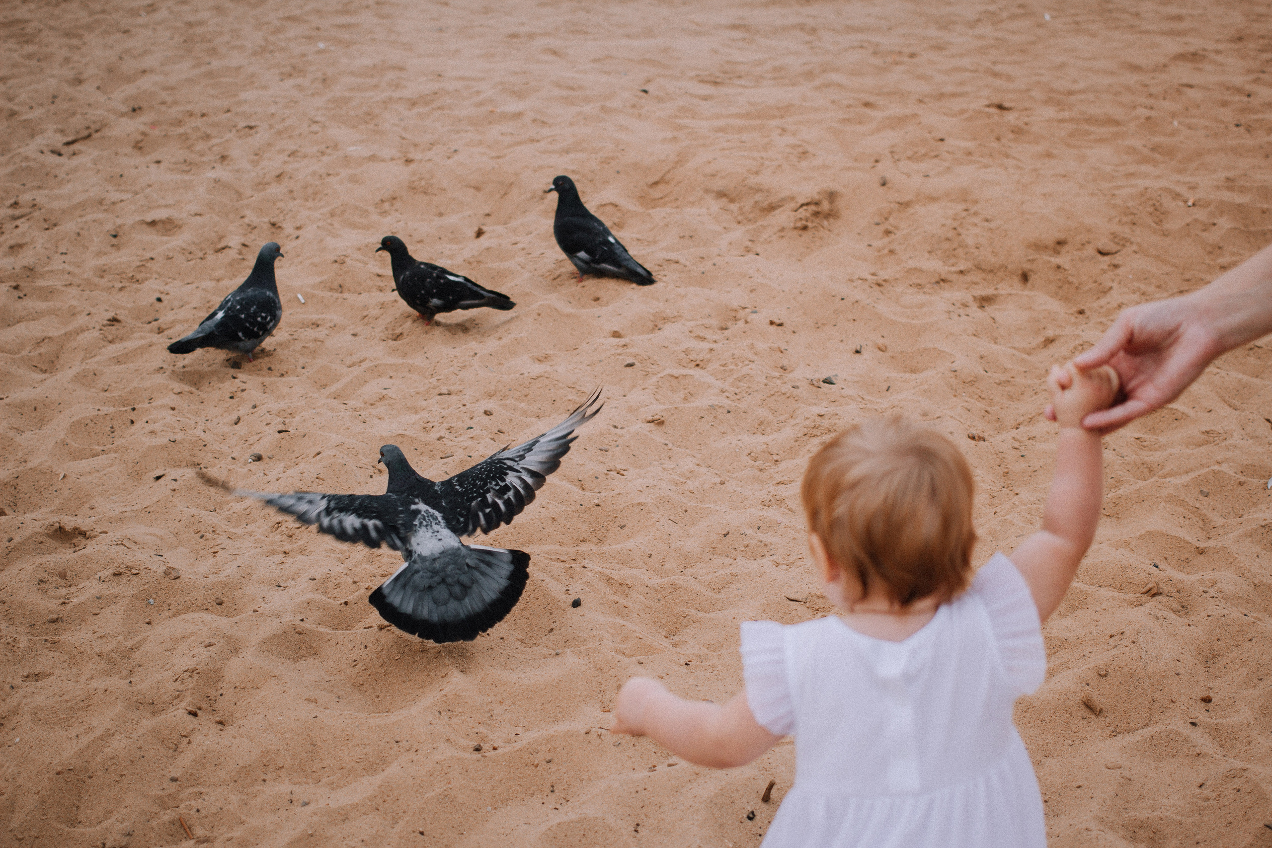 Пикник на Волге. Фотографии с любовью