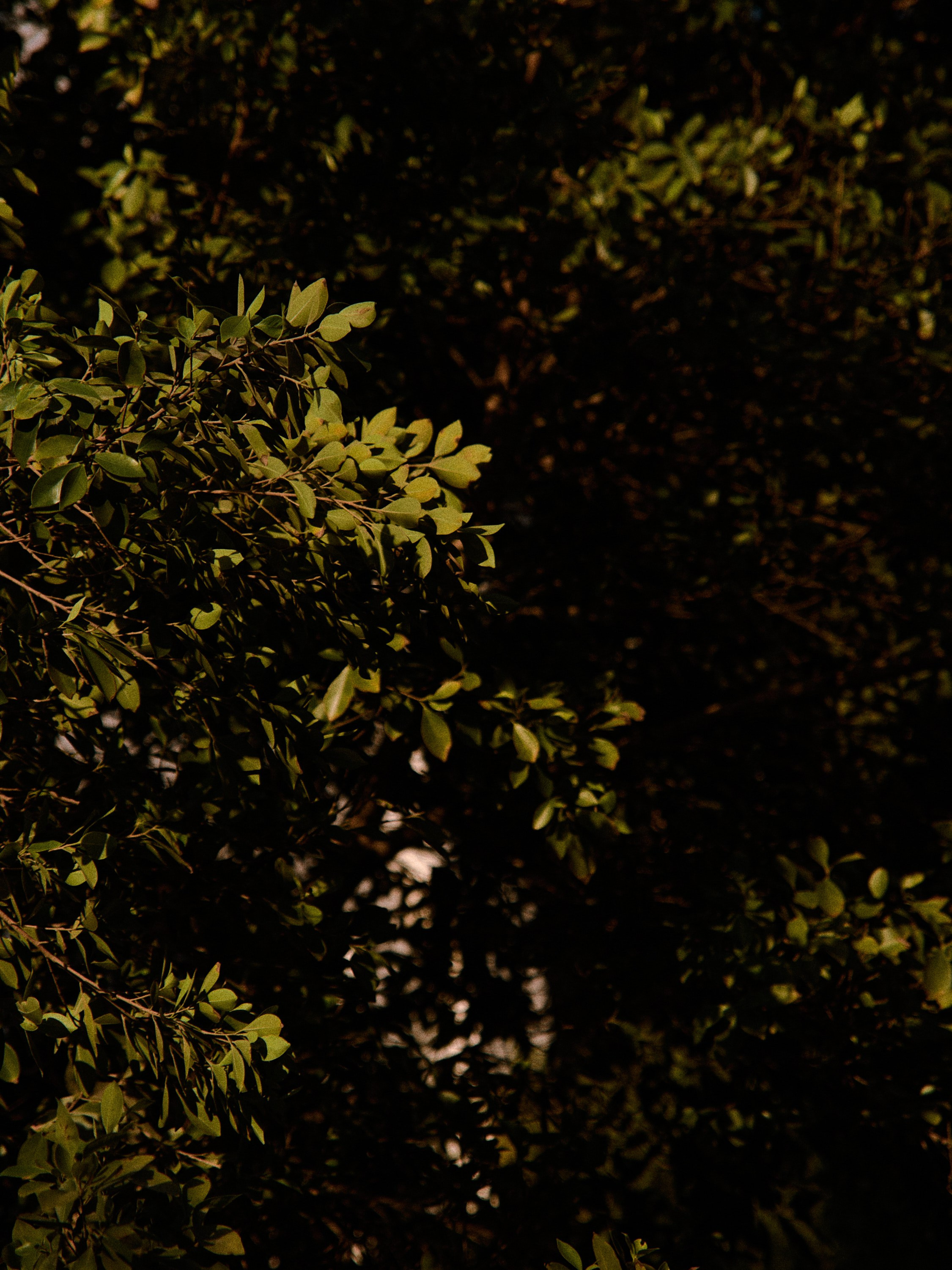 Диптих. Jorgis — фотограф в Хургаде / обучение фотографии