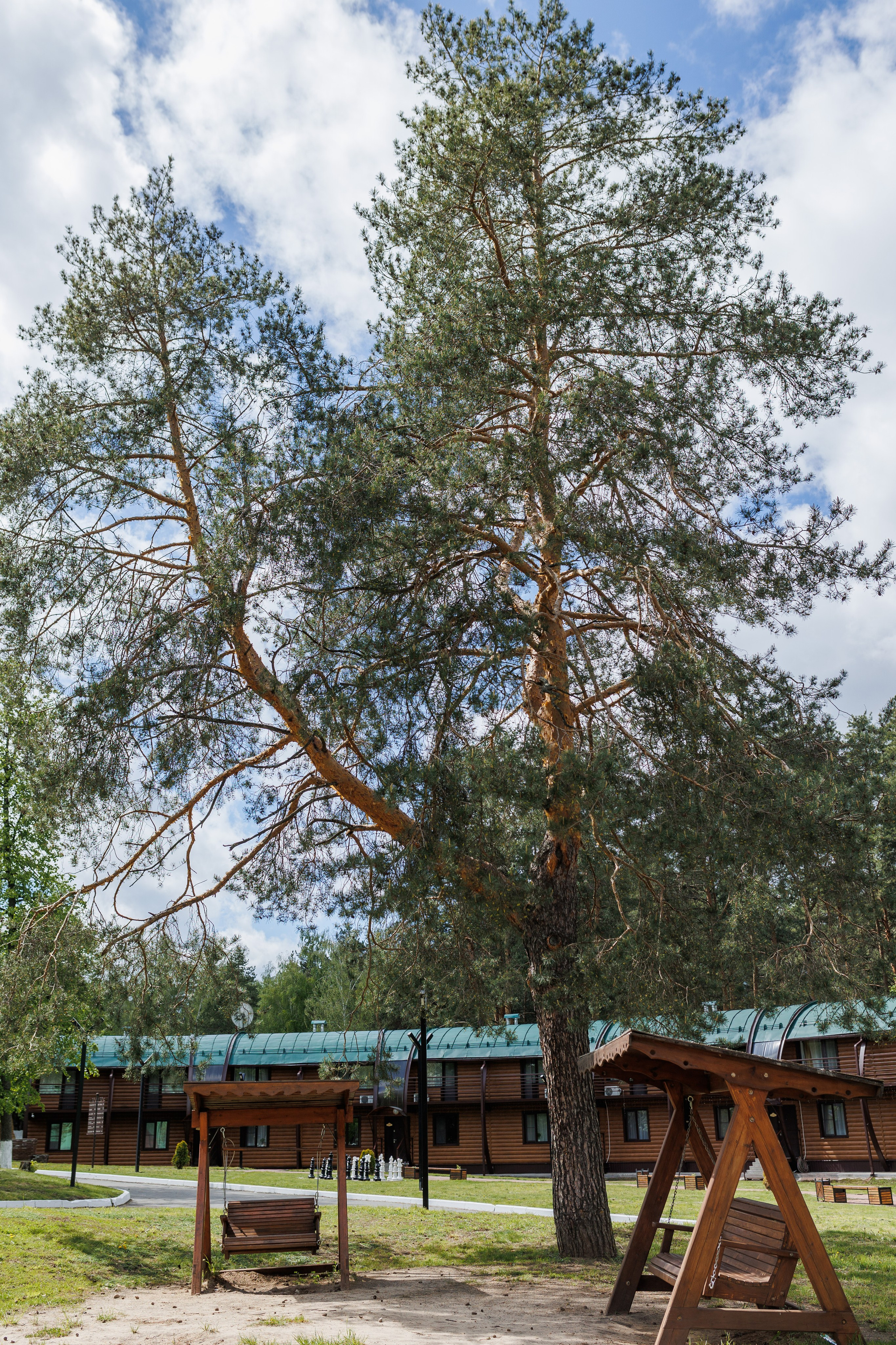 База отдыха «Металлург». Фотограф городских и семейных событий в Нижнем Новгороде Артем Карпухин