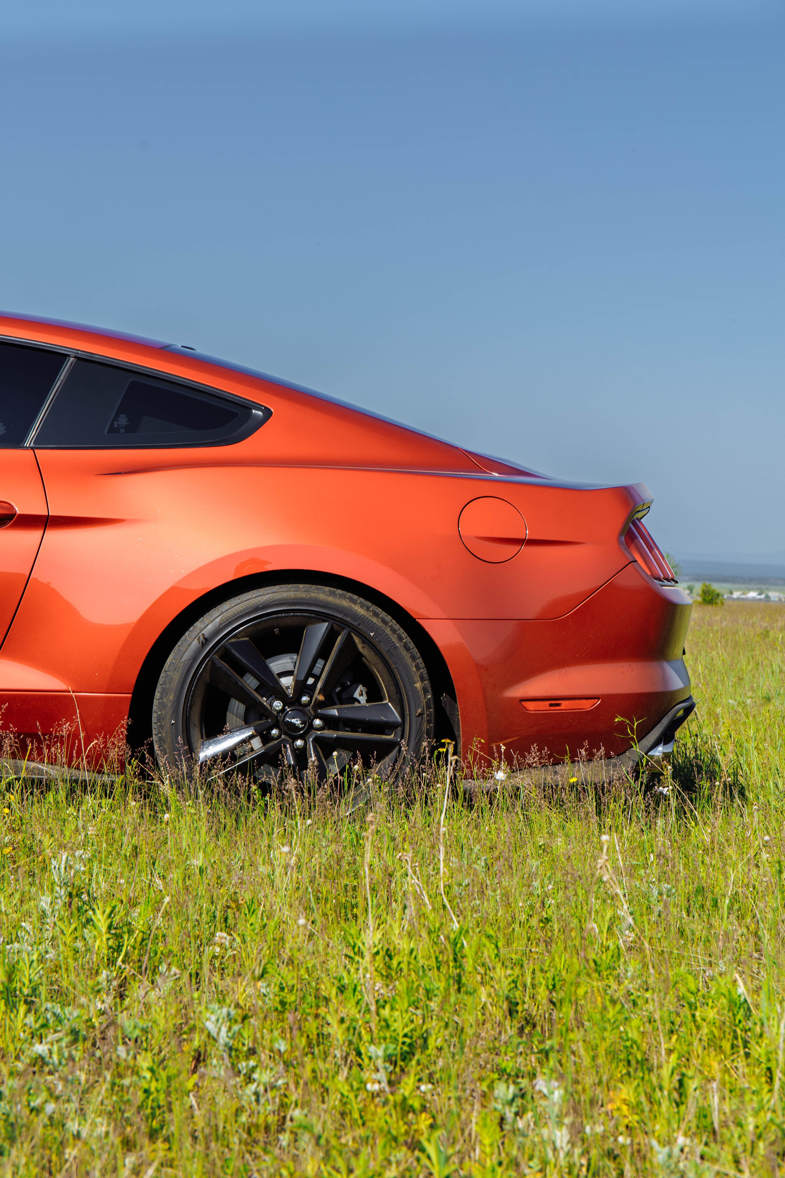 MUSTANG. Репортажный фотограф в Иркутске — Ярослав Ковалёв