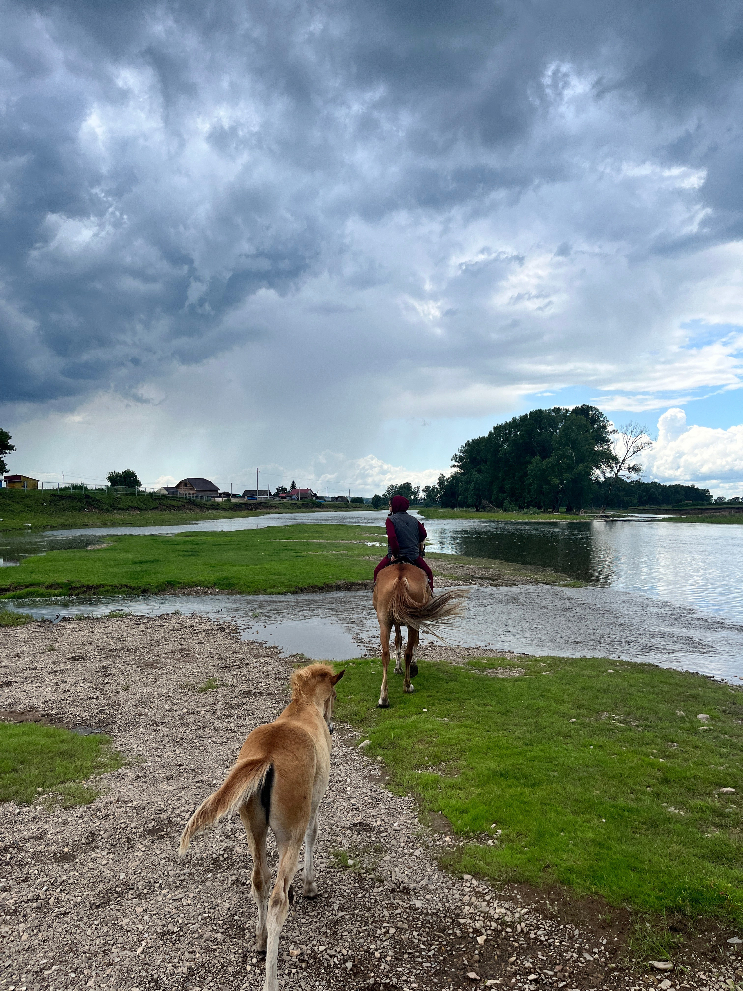Фото с конных туров — Время приключений
