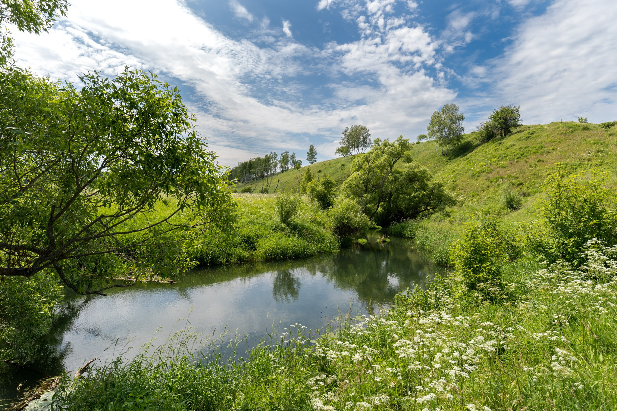 КустАрт Бежен луг 2019. Фотограф Василий Буланов
