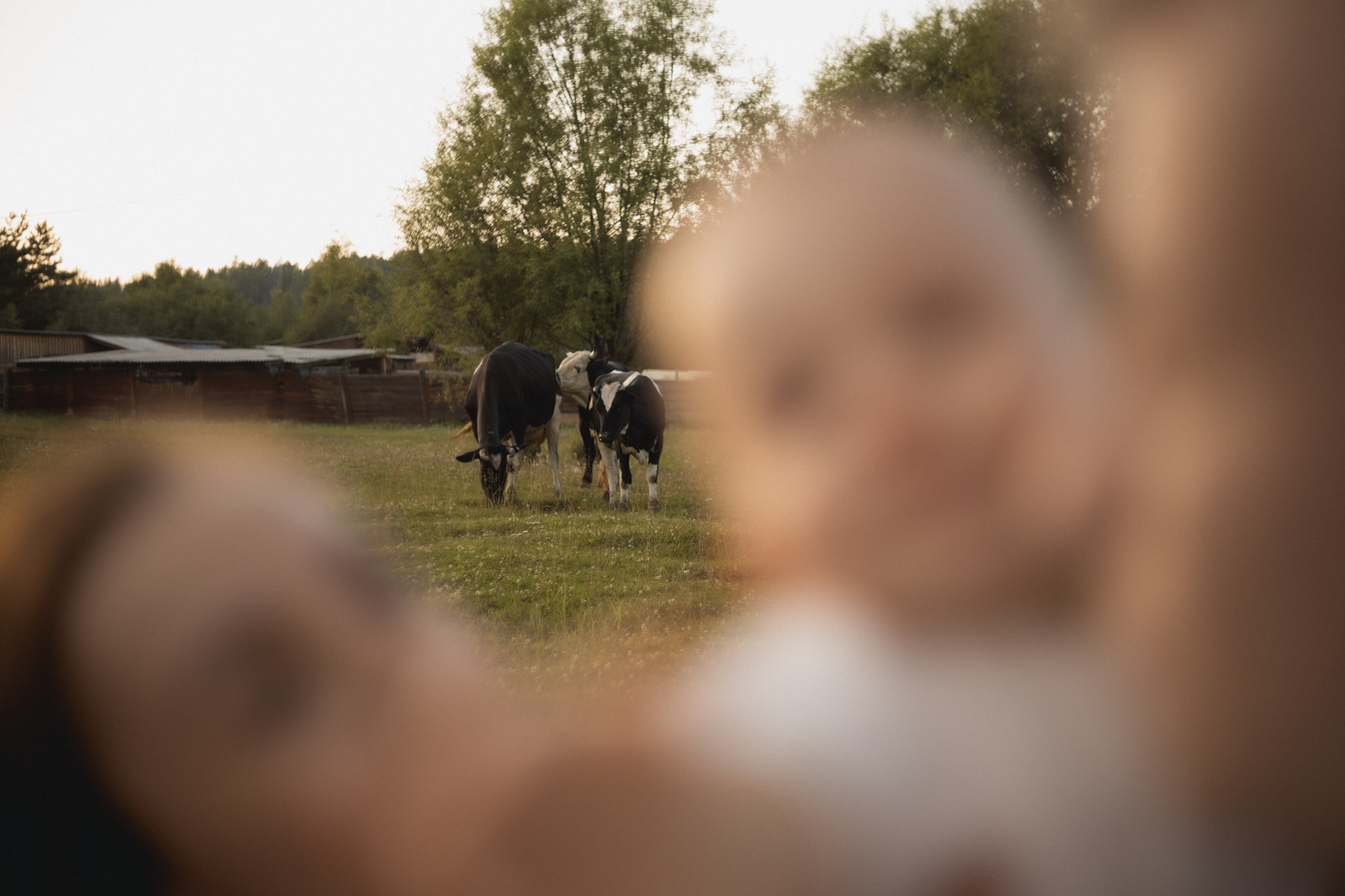 Летняя. Семейный и свадебный фотограф Лилия Матонина | Ангарск, Иркутск, Усолье-Сибирское, Байкал (Листвянка, Ольхон), Иркутская область