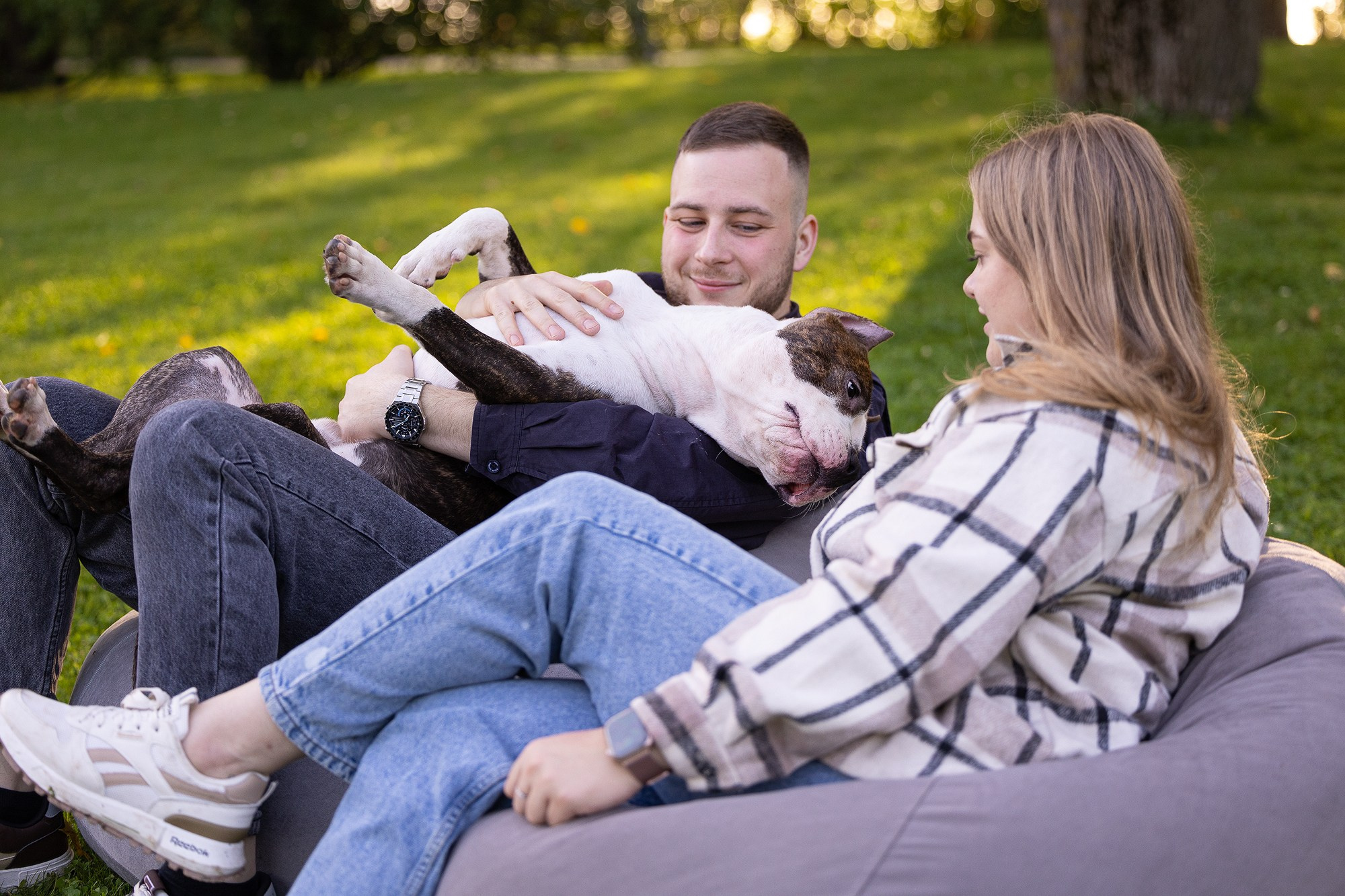 Амстафф Честер и его семья. Фотограф-анималист Natalia Deingel | Фотосъемка собак в Москве