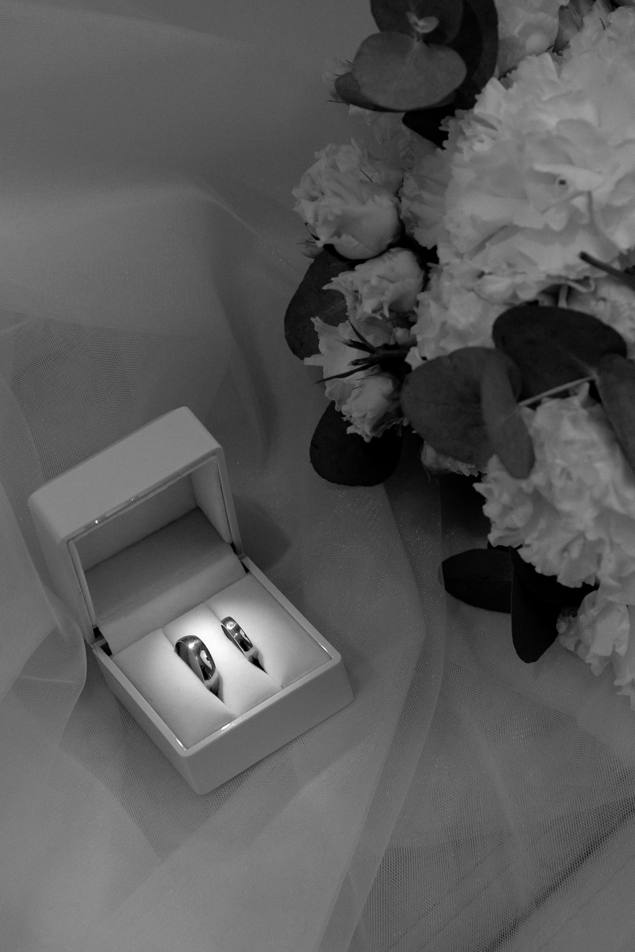 Владимир и Ева. Фотограф Новосибирск Вероника Вишневская