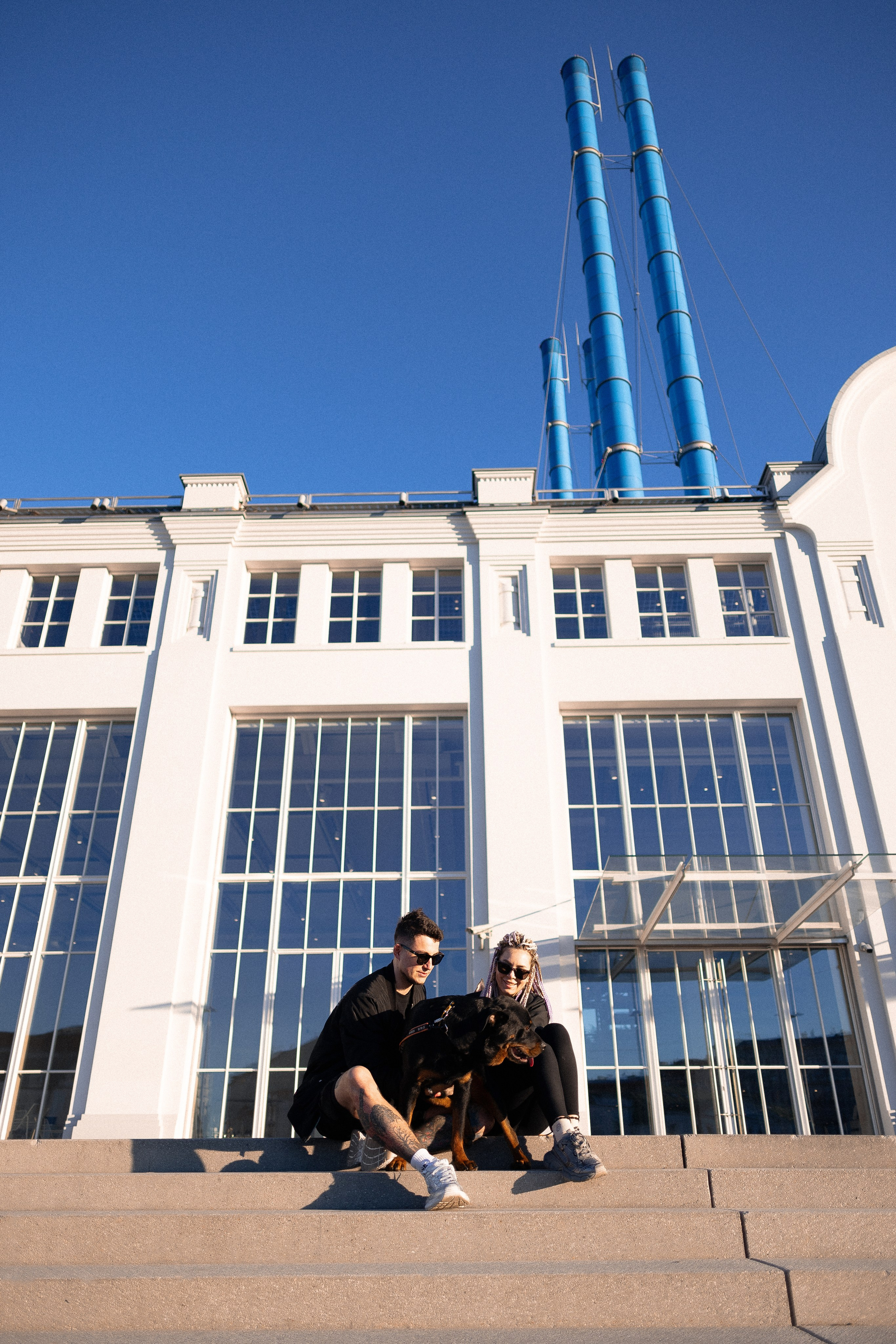 Катя, Леша, Трой и Лея. Фотограф и видеограф анималист Аганина Дарья