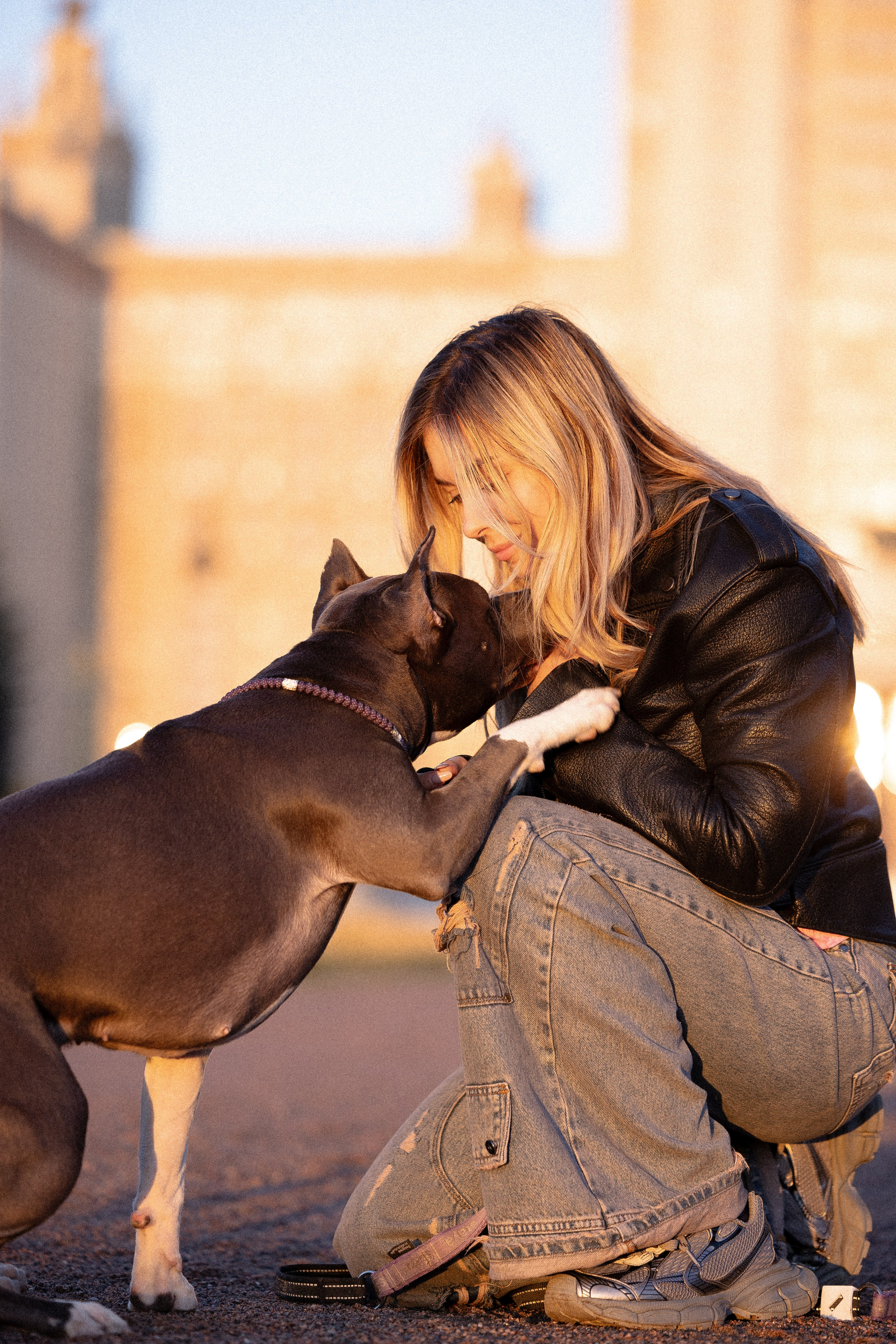 Катя, Леша, Лея и Трой. Фотограф и видеограф анималист Аганина Дарья