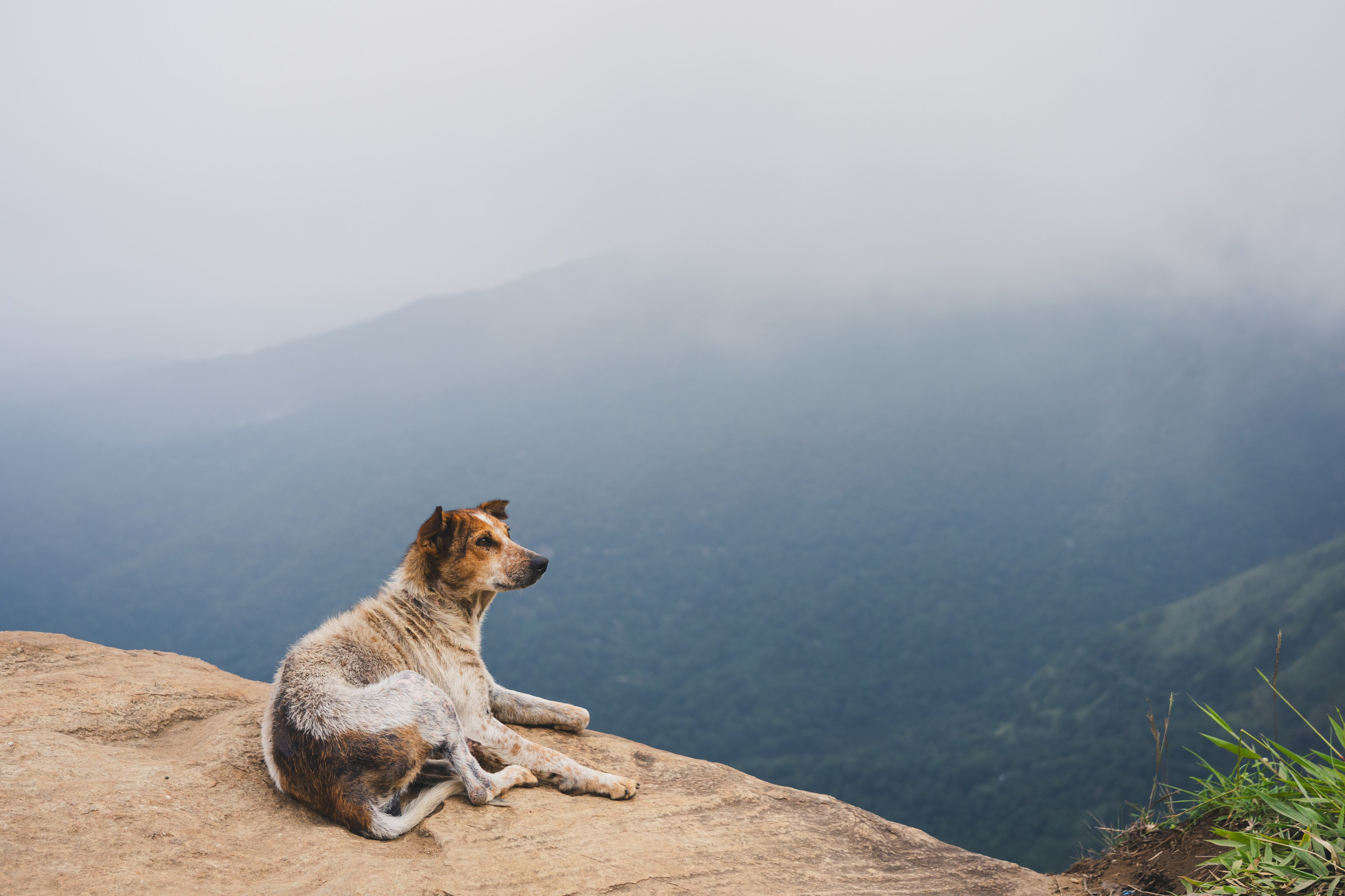 Шри-Ланка 2025. Легкая фотография