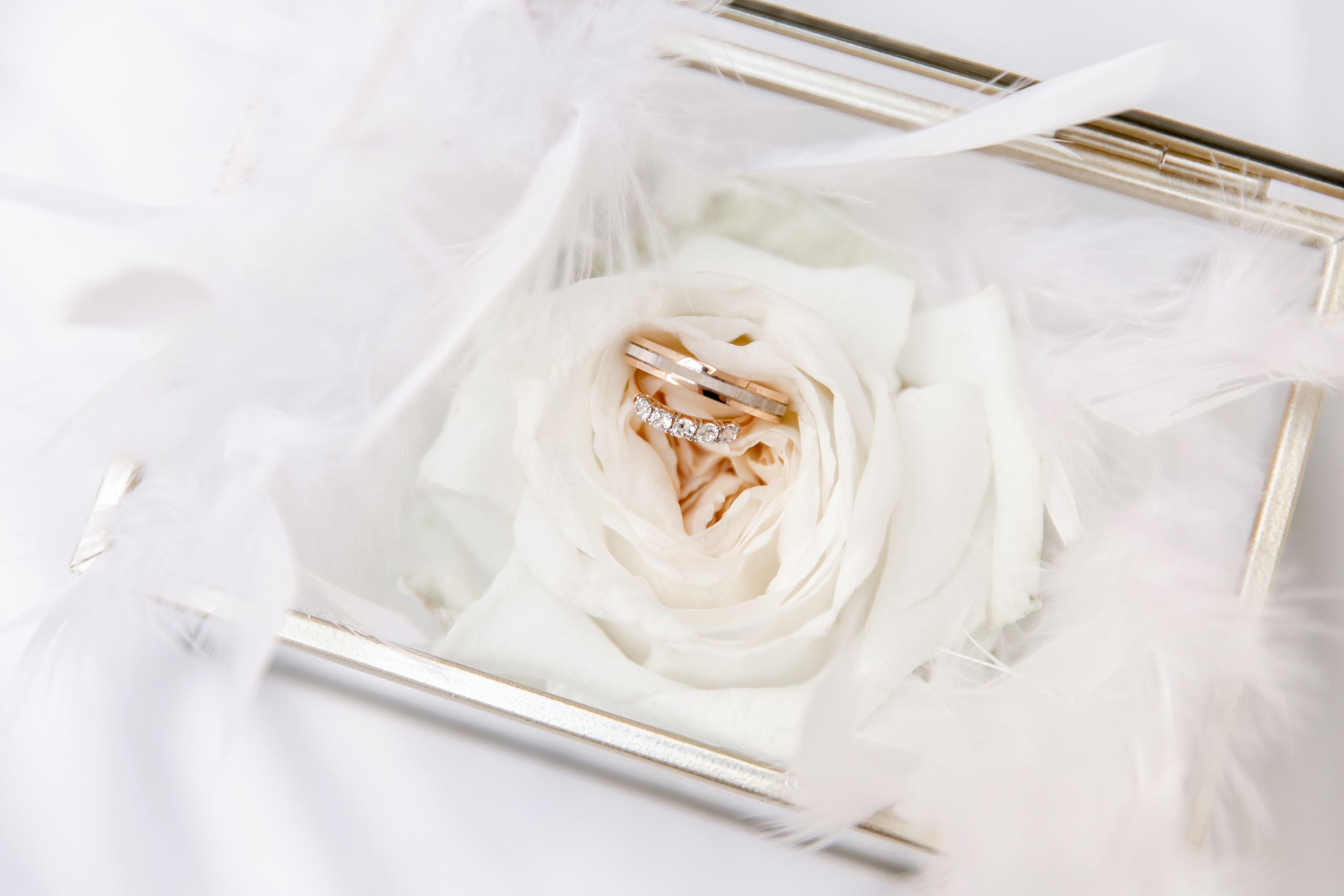 Дима и Вика. Свадебный фотограф Анна Бабахина