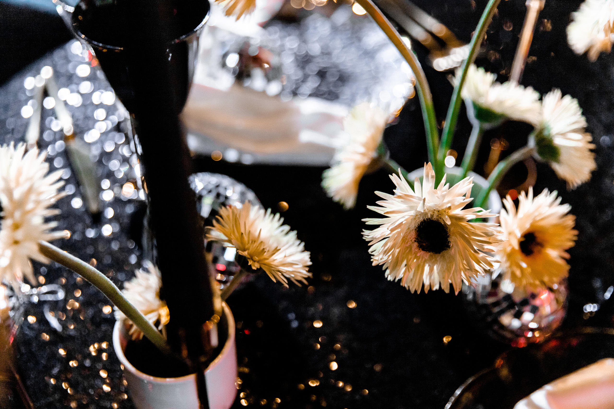 Игорь и Таня. Свадебный фотограф Анна Бабахина