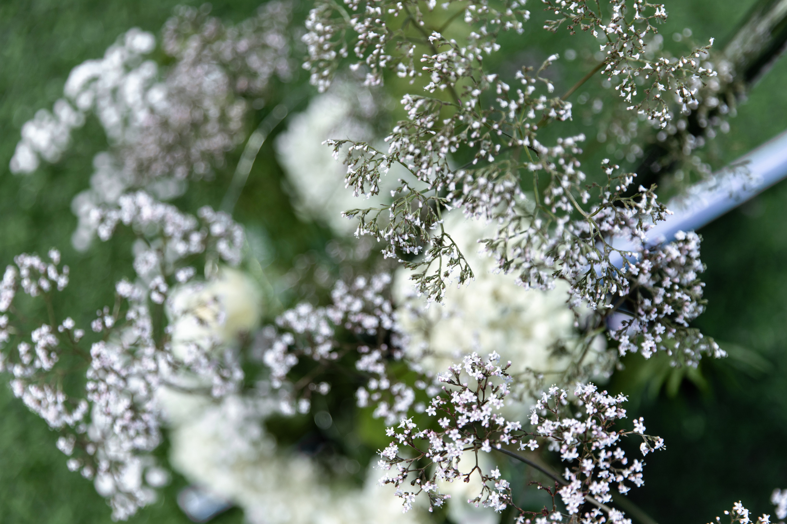 Дима и Вика. Свадебный фотограф Анна Бабахина