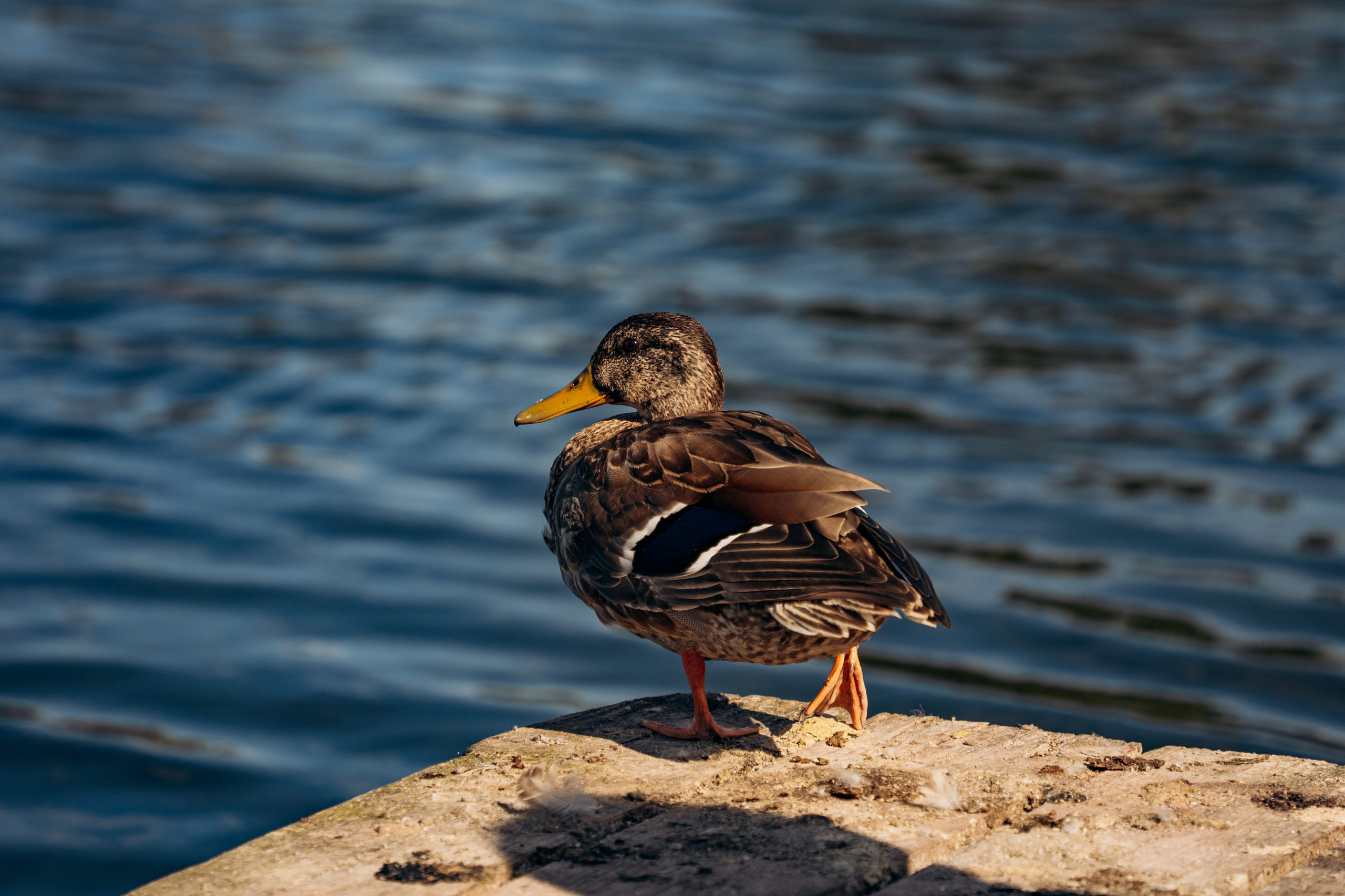 СЕВЕР. Event фотограф Степанова Александра