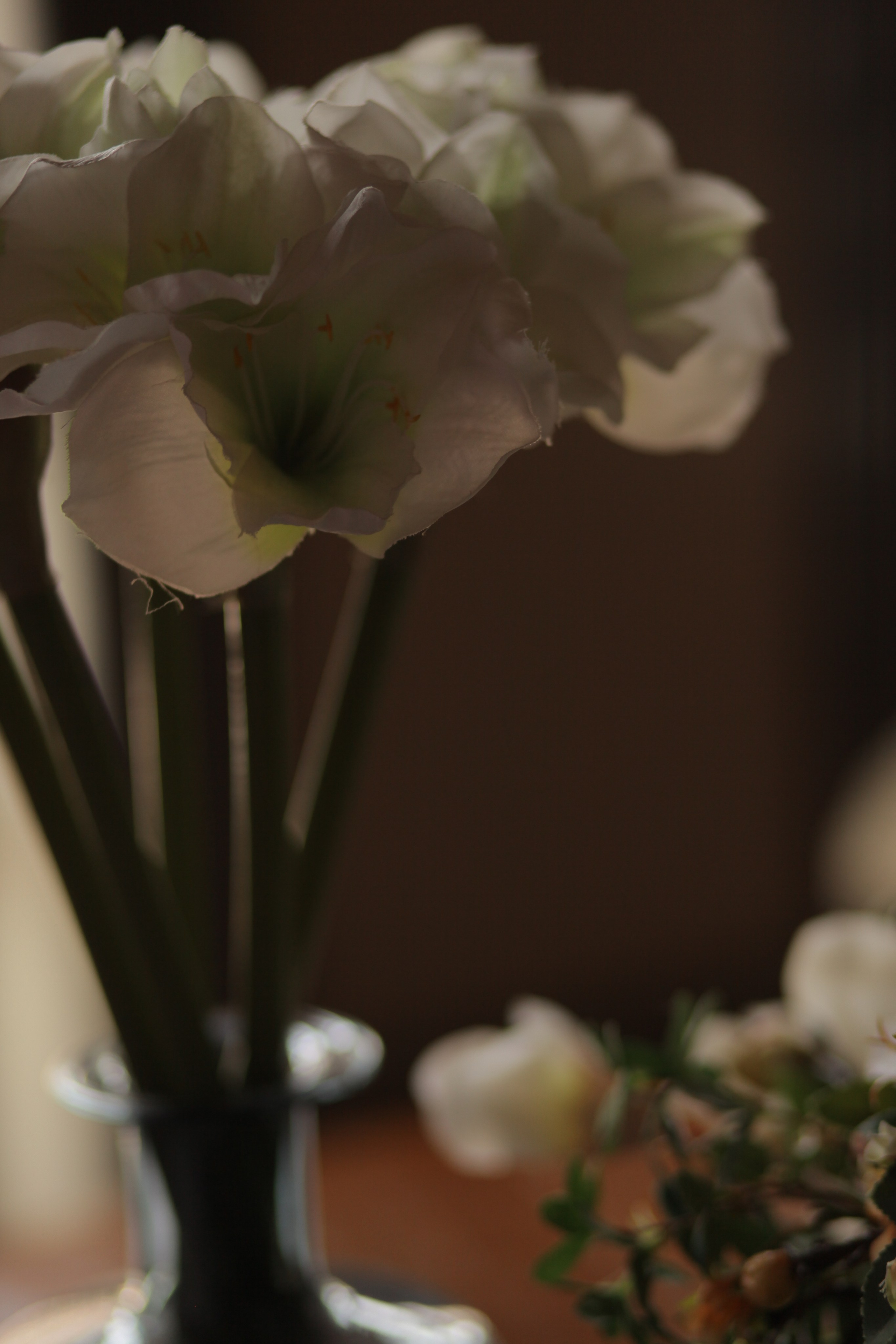 Портрет в Итальянском стиле. Главная