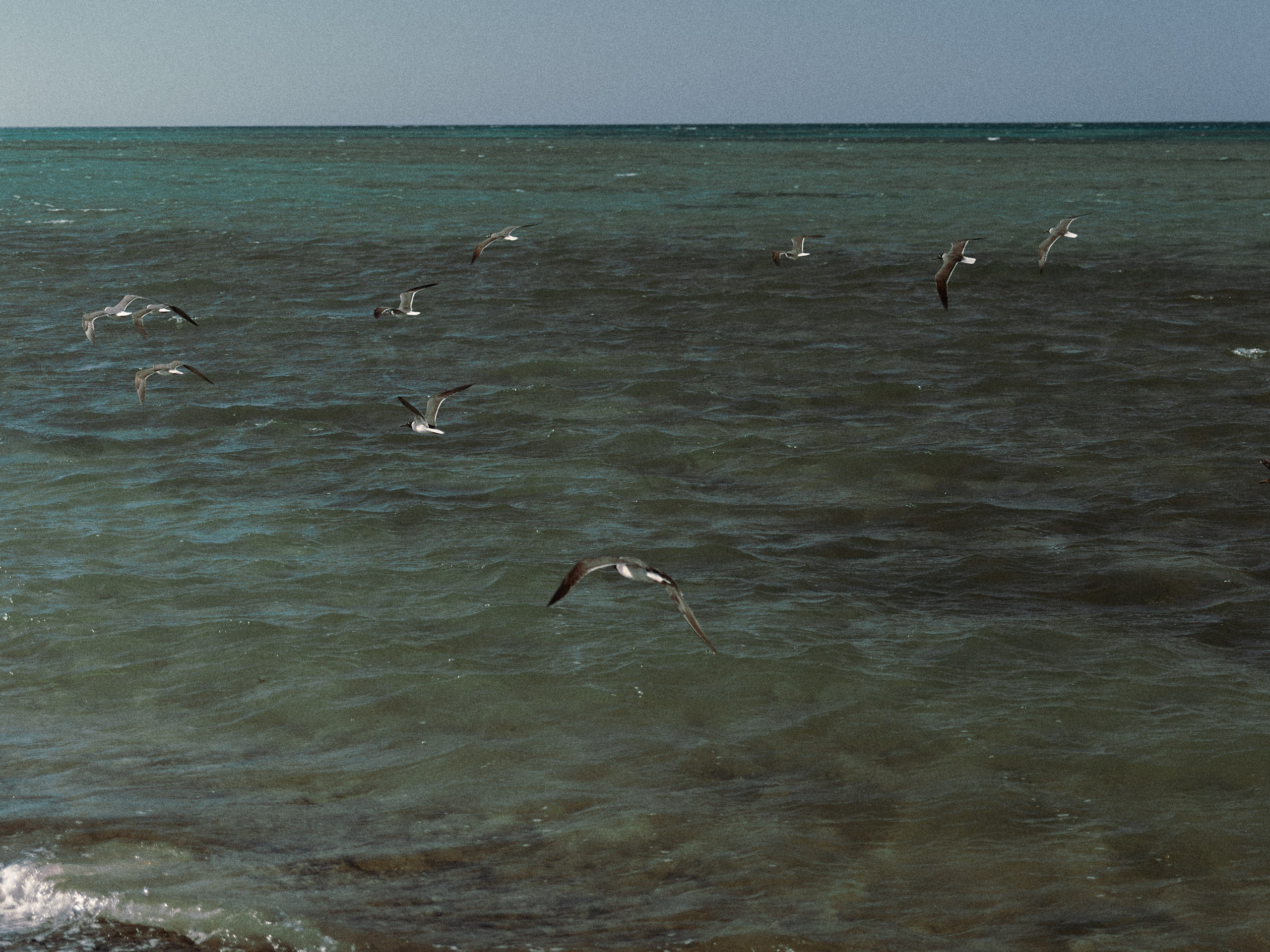 Улица горизонтальная. Jorgis — фотограф в Хургаде / обучение фотографии