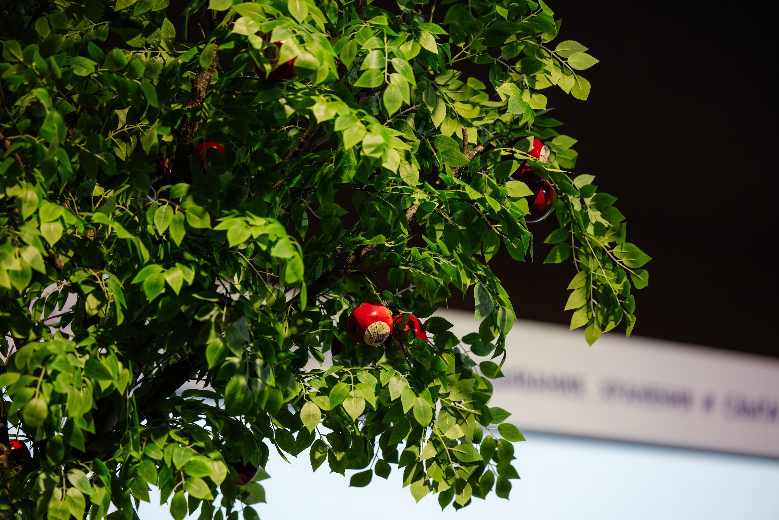 ЭКСПО. Фотограф Николай Петрушкин | Ставрополь, Москва