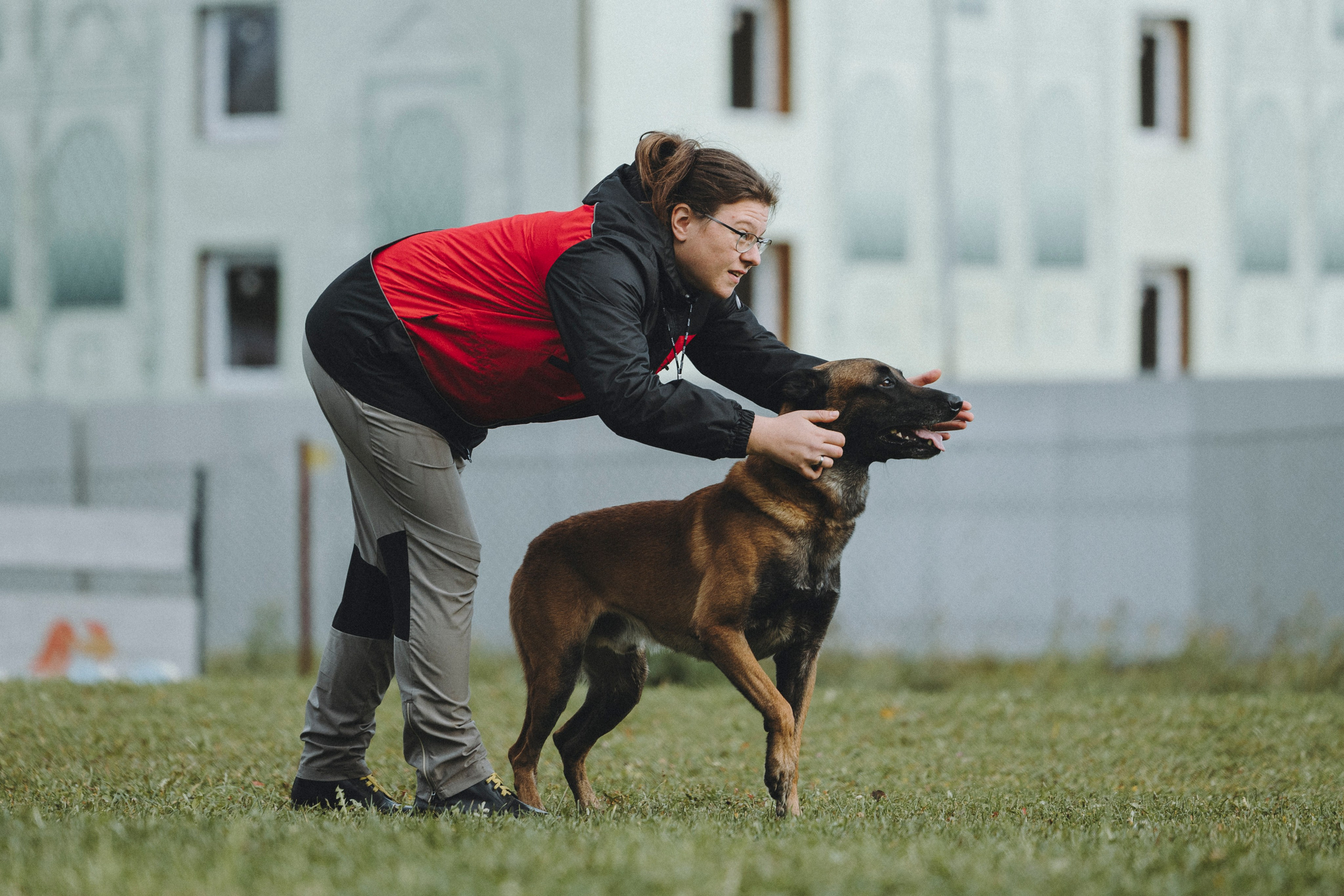 Испытания по мондьорингу г. Пушкин 29.09.2024. Фотограф-анималист Анна Маринич