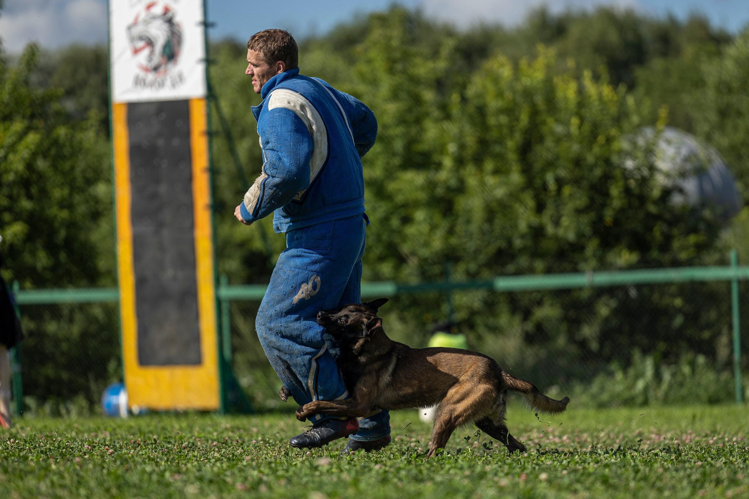 Соревнования по Мондьорингу г. Вологда 10-11.08.2024. Фотограф-анималист Анна Маринич