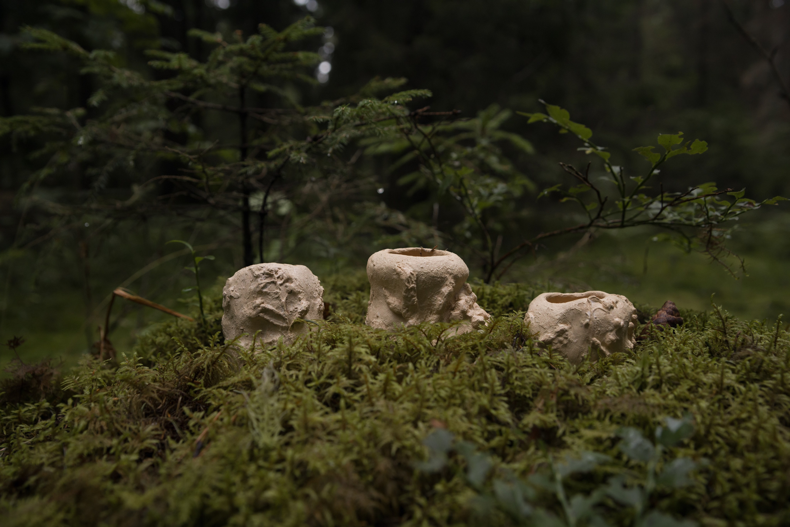 Искание. Катя Цвет