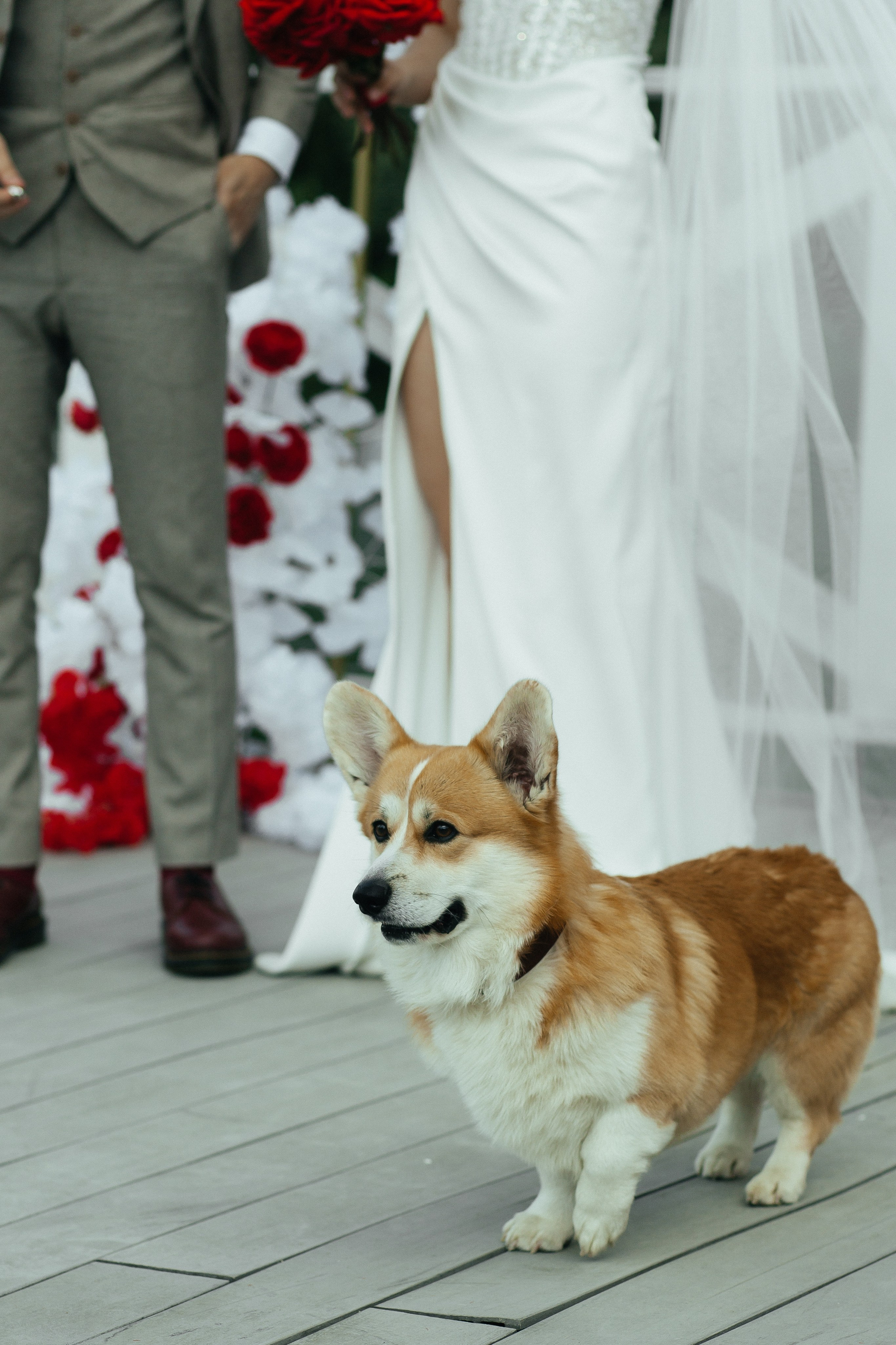 D & D. Фотограф Ольга Сапронова. Свадебный фотограф Ольга Сапронова