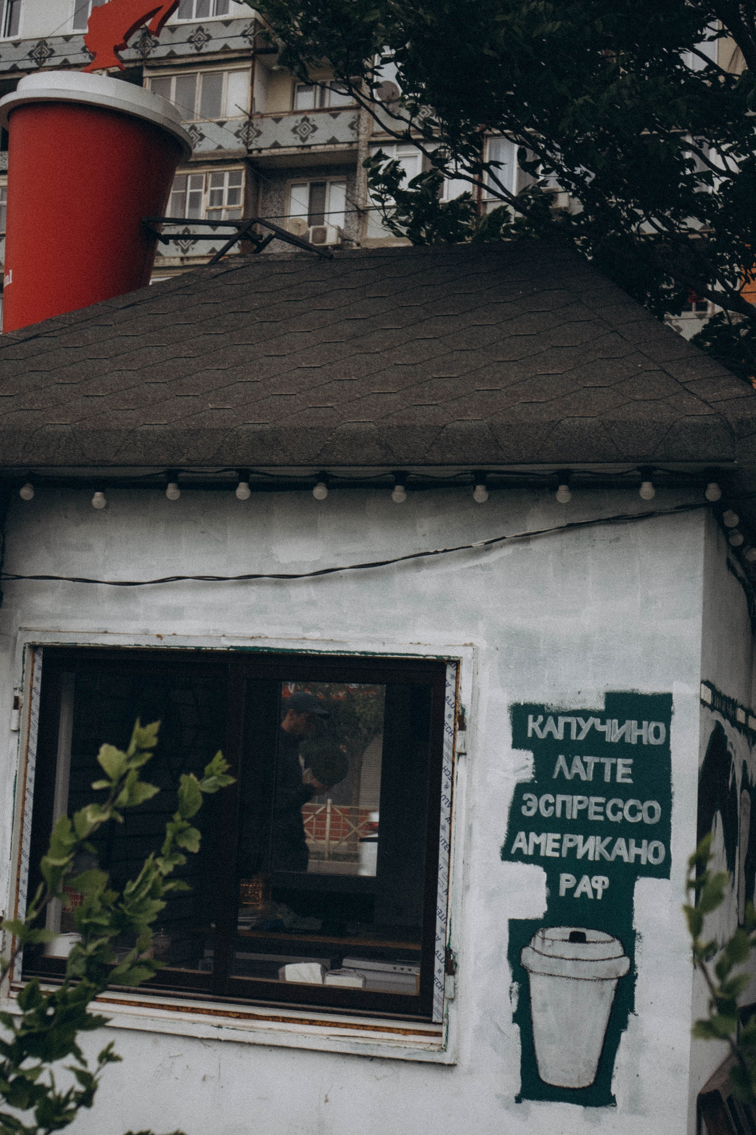 Кавказ. Профессиональный фотограф, Санкт-Петербург — Виктория Богомолова