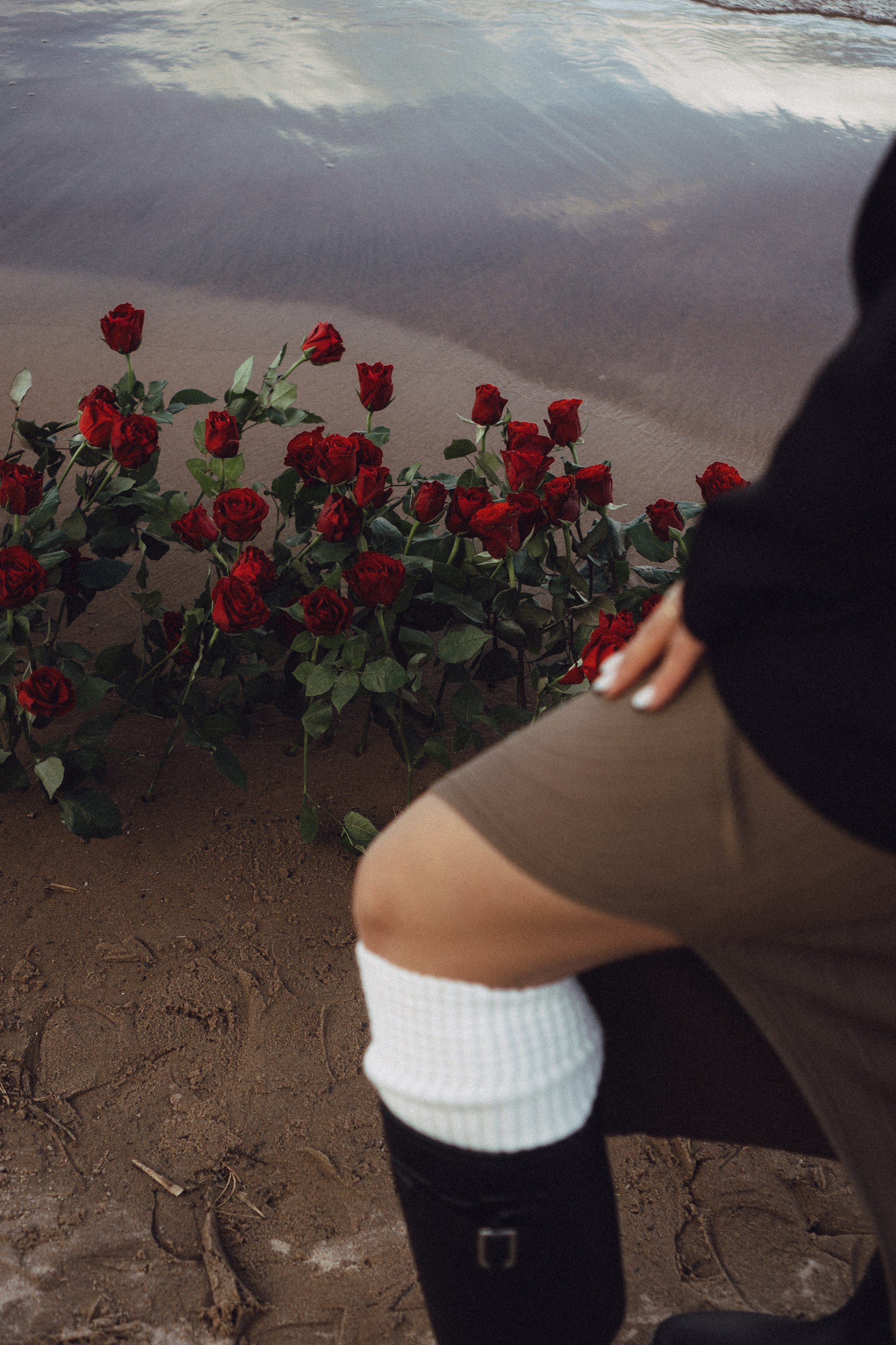 Розы. Профессиональный фотограф, Санкт-Петербург — Виктория Богомолова