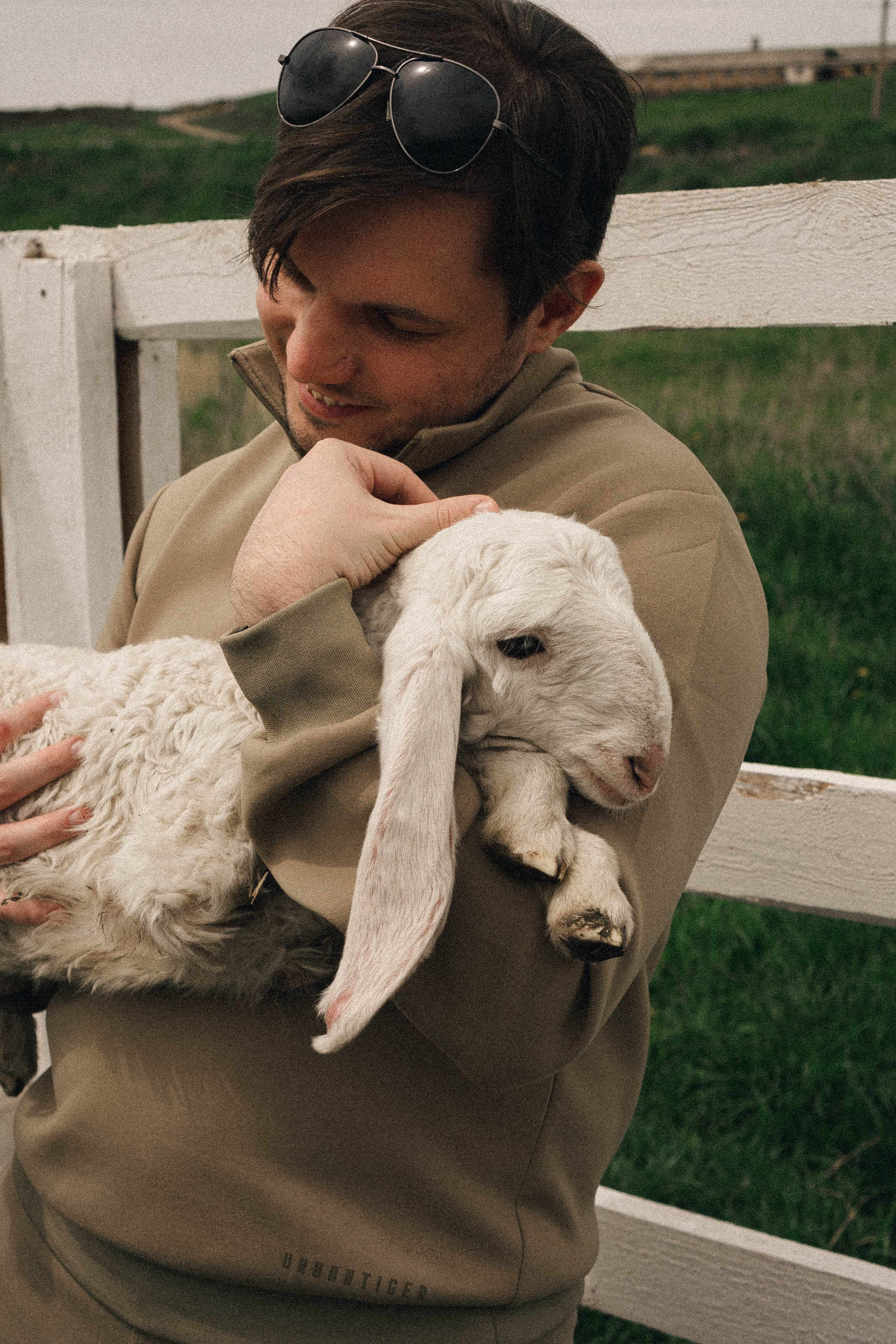 Ферма Альпак. Профессиональный фотограф, Санкт-Петербург — Виктория Богомолова
