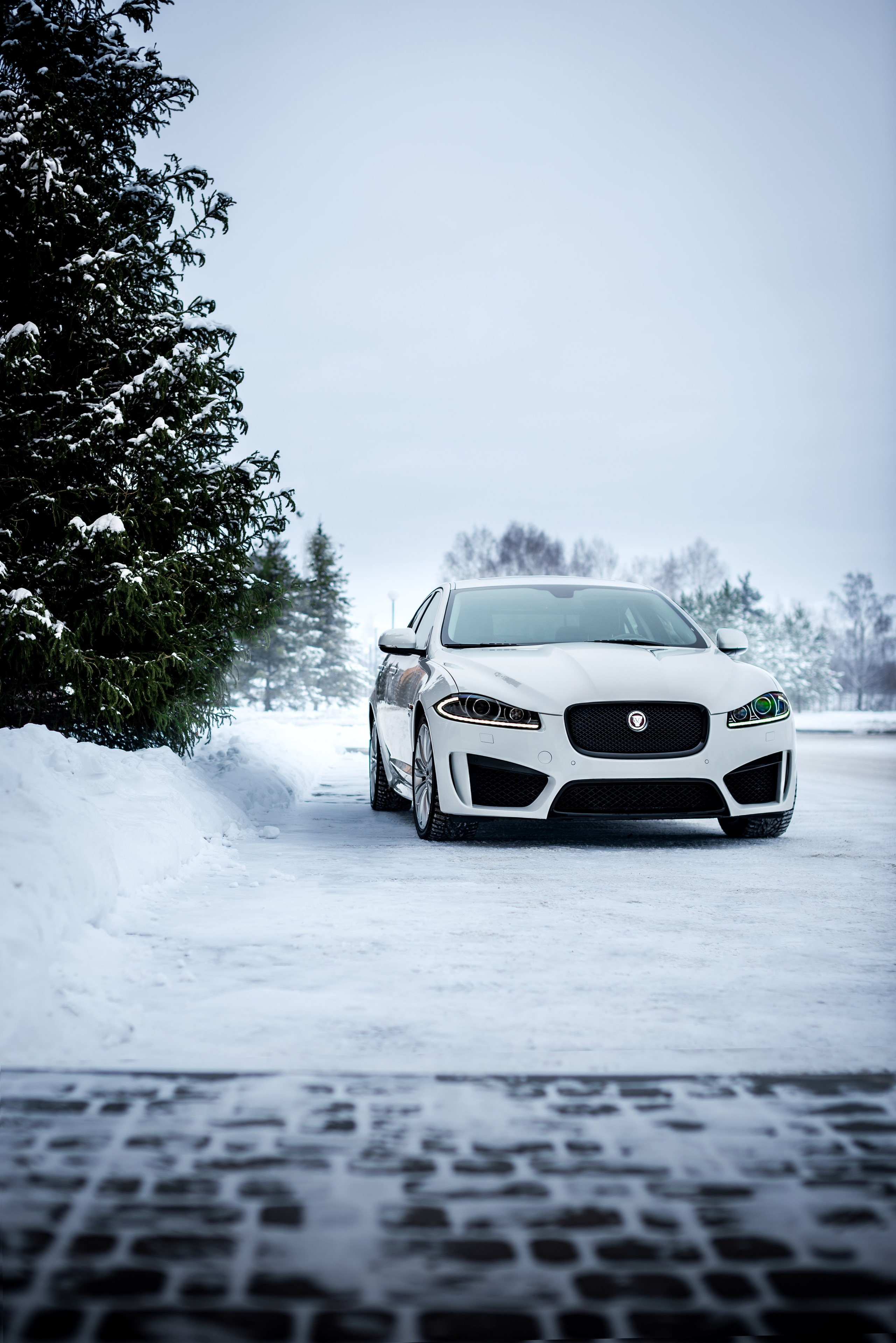 Jaguar XF. Автомобильный фотограф 3VIPHOTO #Томск