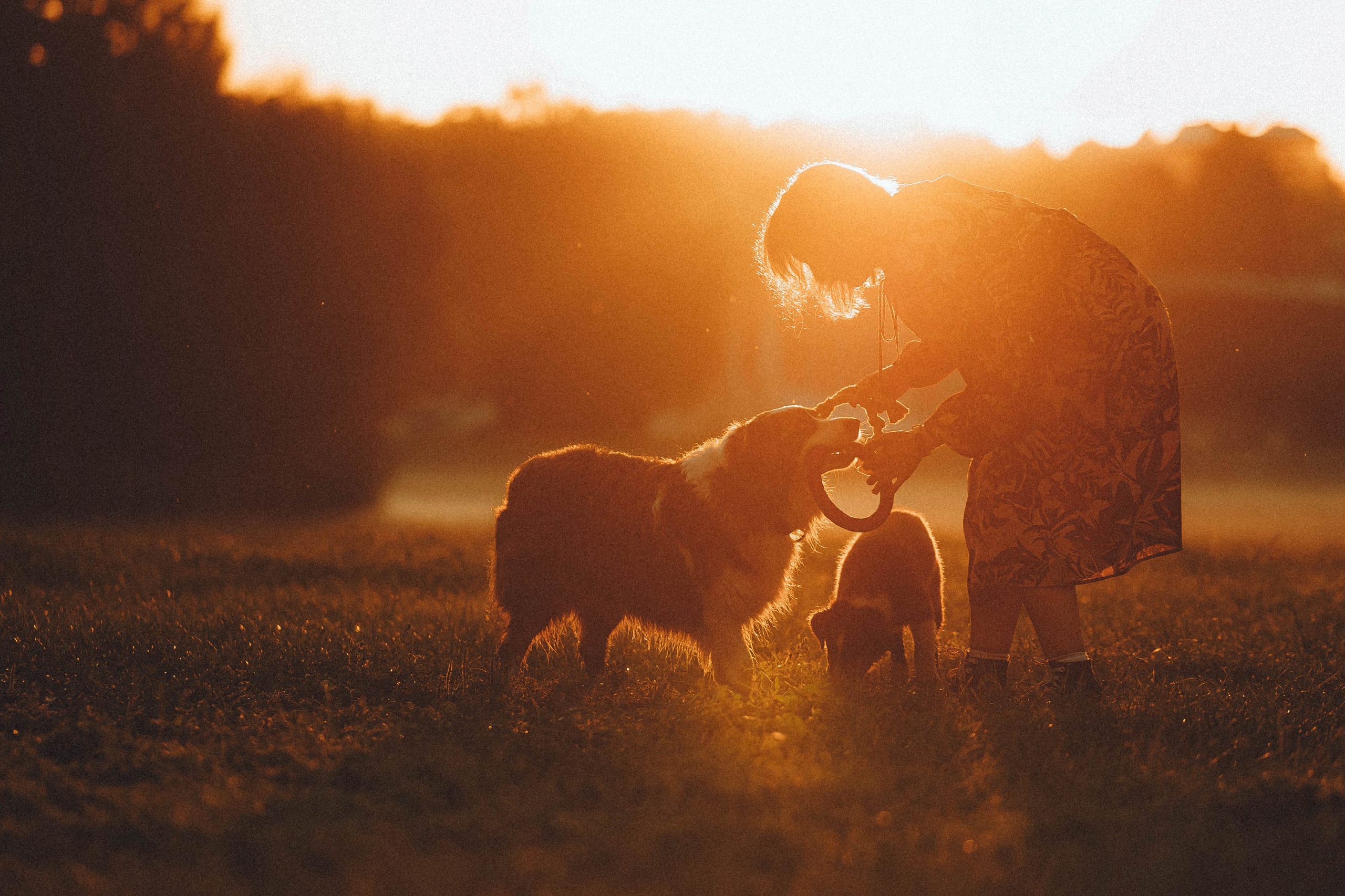 Лена, Принц и Фенек