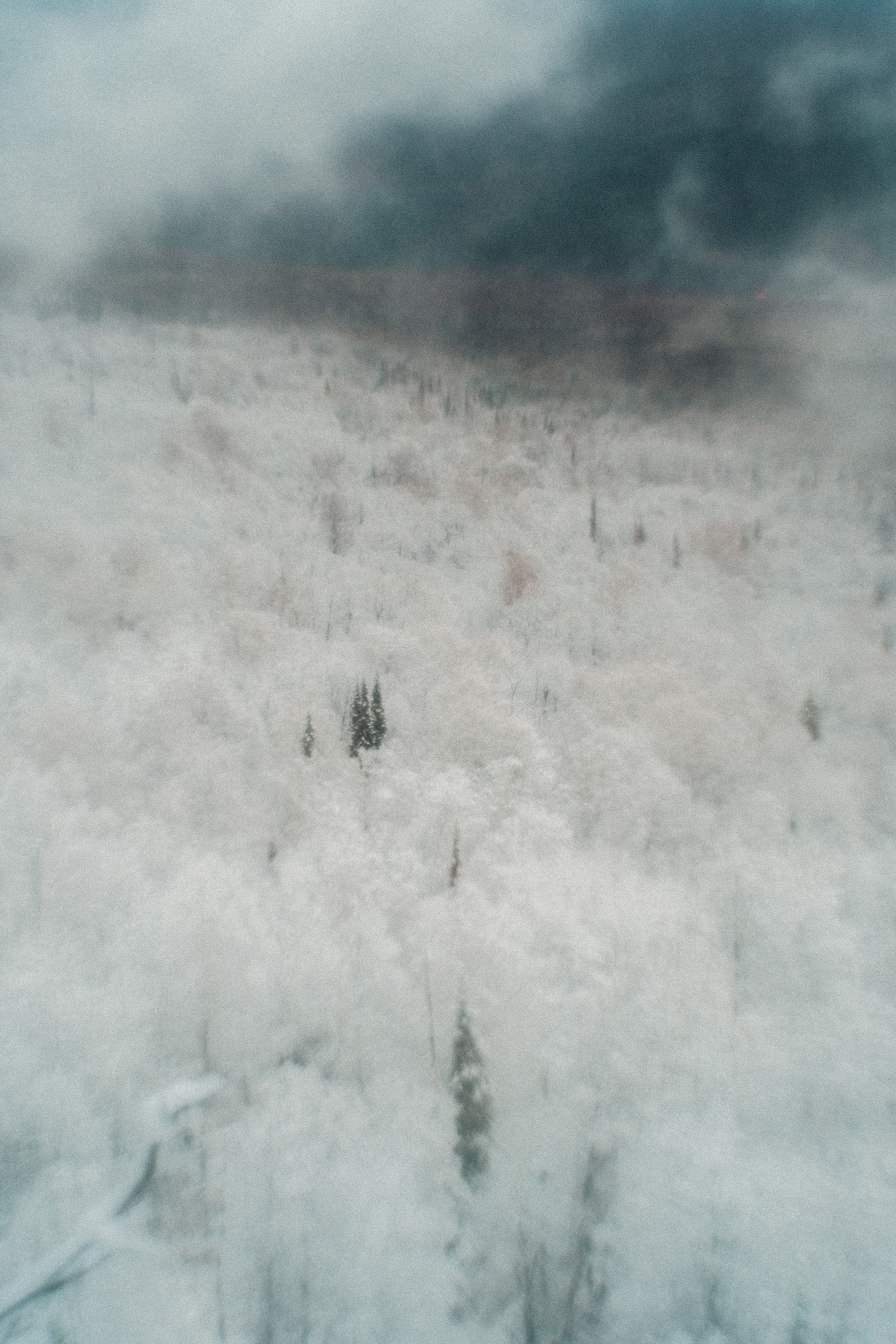 Айгир. Andrew Sozonov visual artist