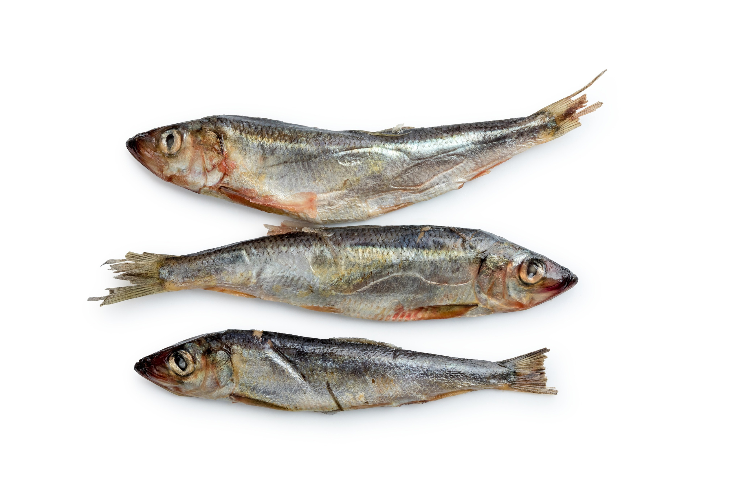 Сырое на белом. Фуд-фотограф Гумеров Ильдар