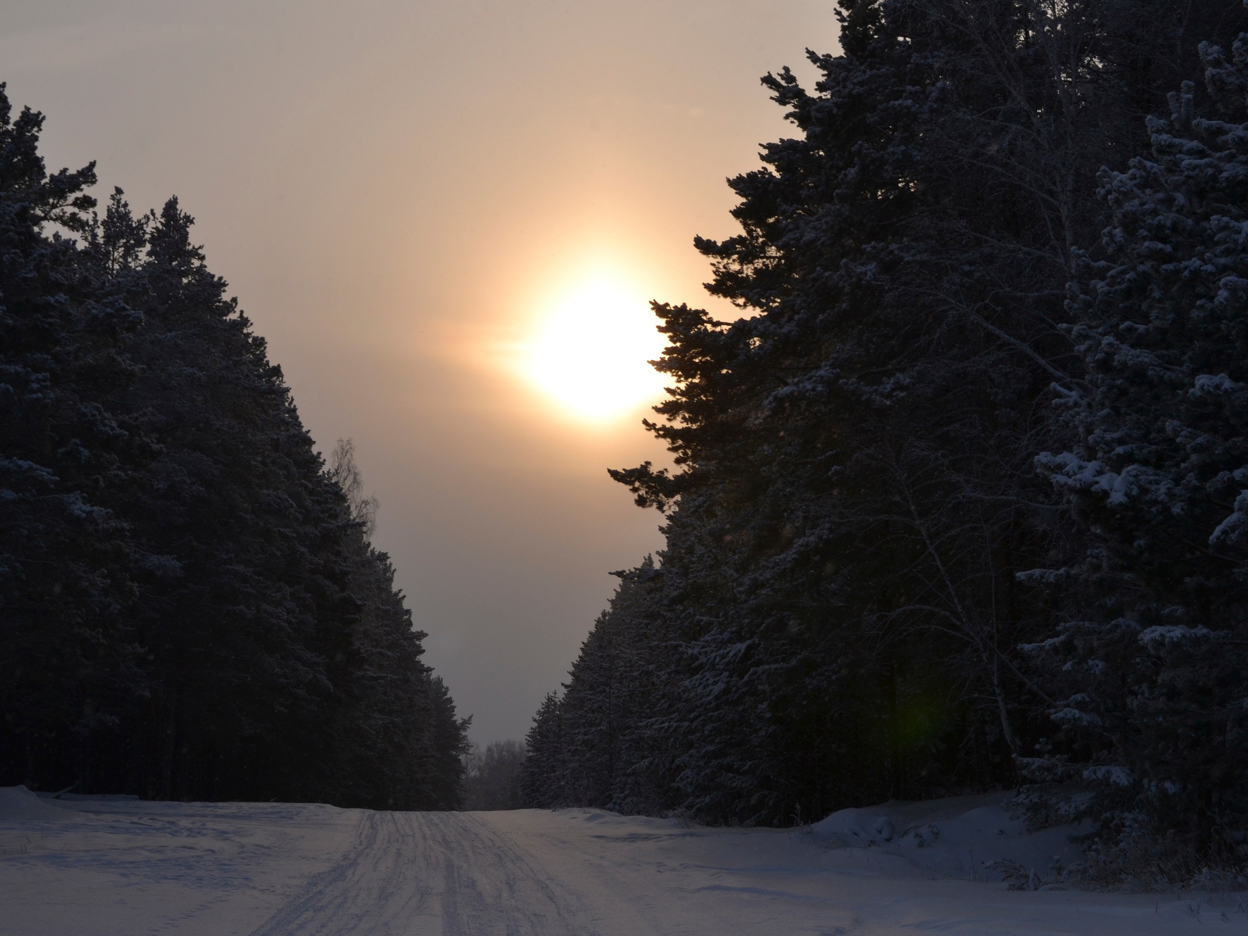 Фотограф | Видеограф в Кургане, Тюмени и Челябинске