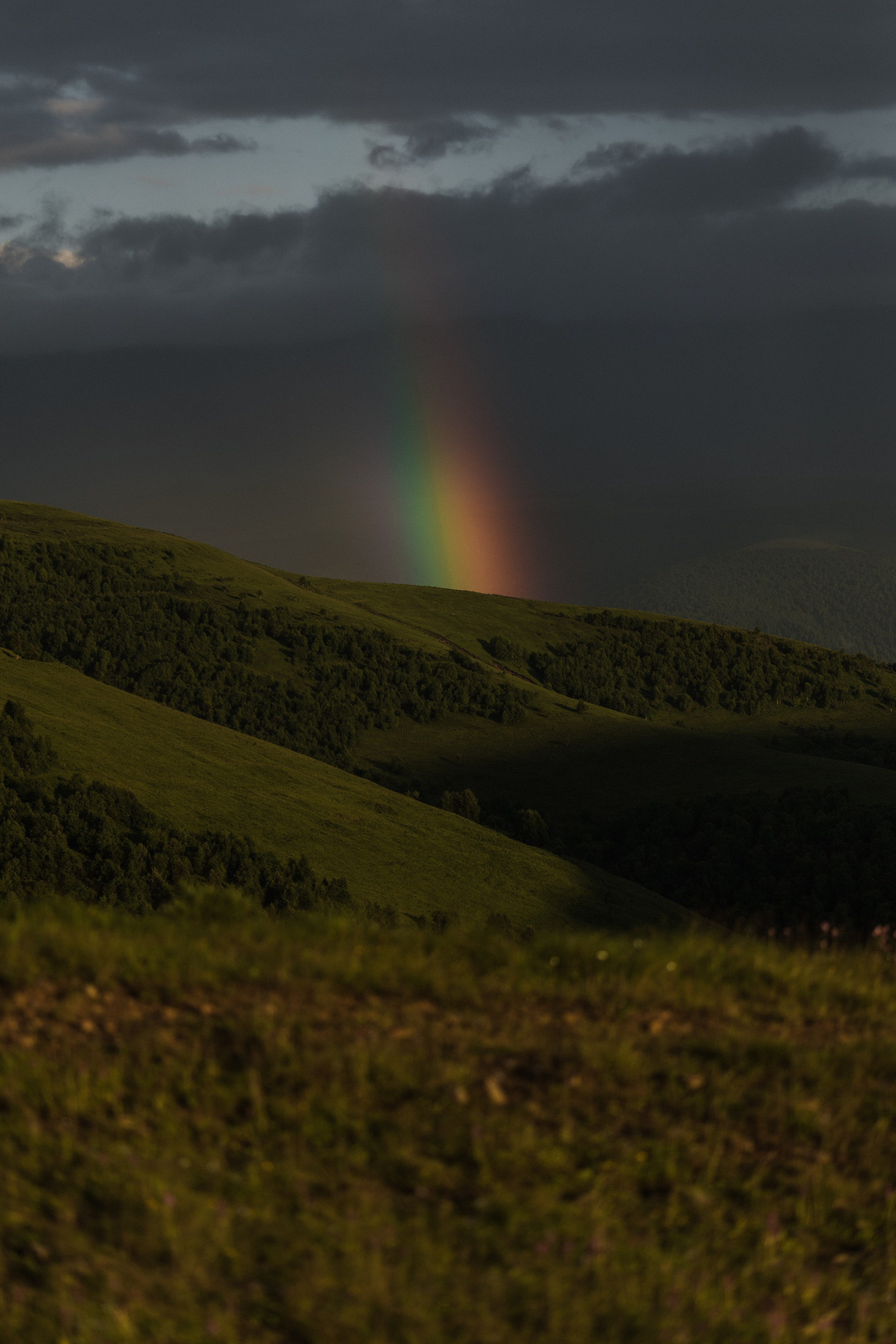 Elbrus. Свадебный и семейный фотограф в Краснодаре Роман Моско