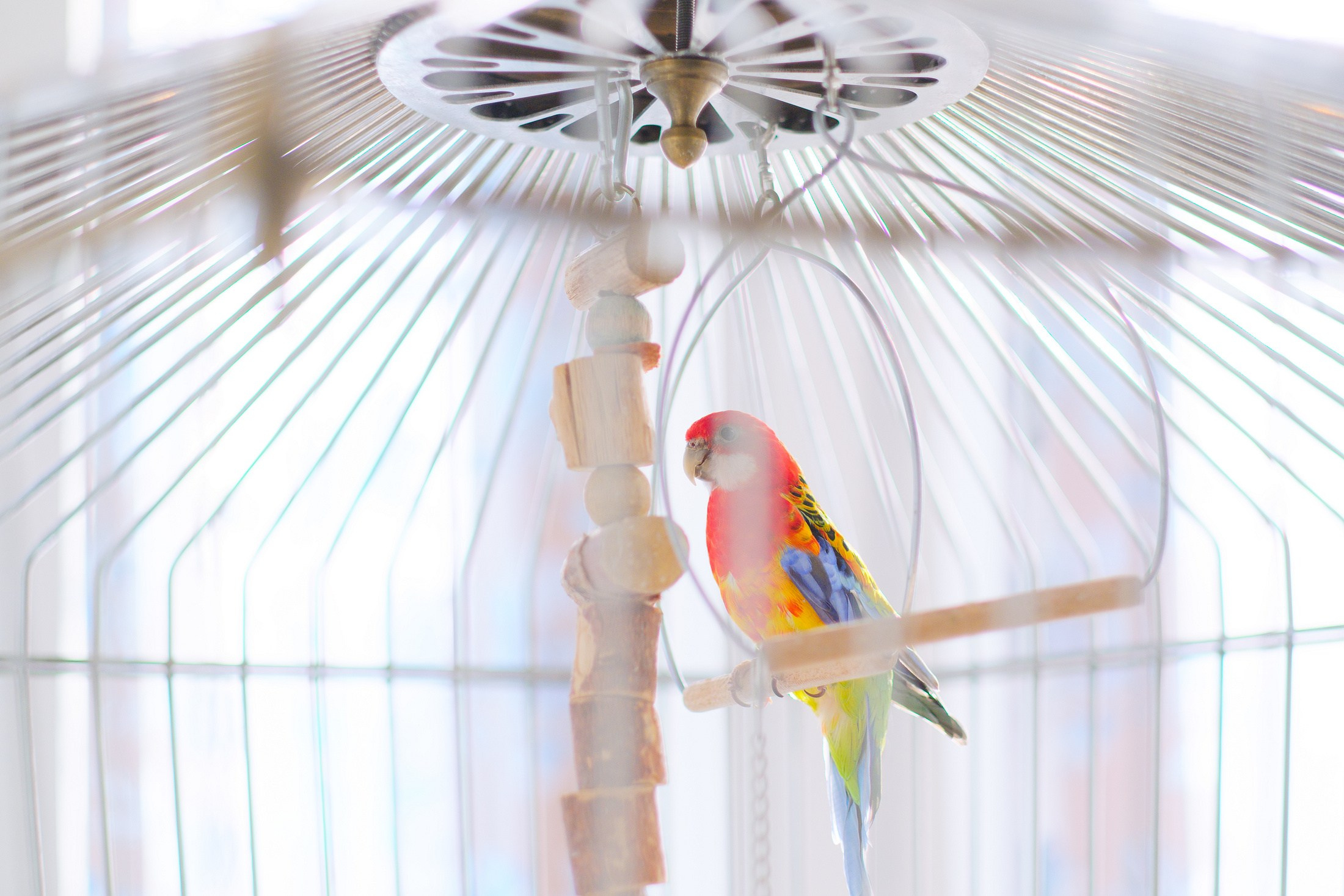 ИНТЕРЬЕР. Фотограф и оператор-постановщик в Санкт-Петербурге Беликов Валентин