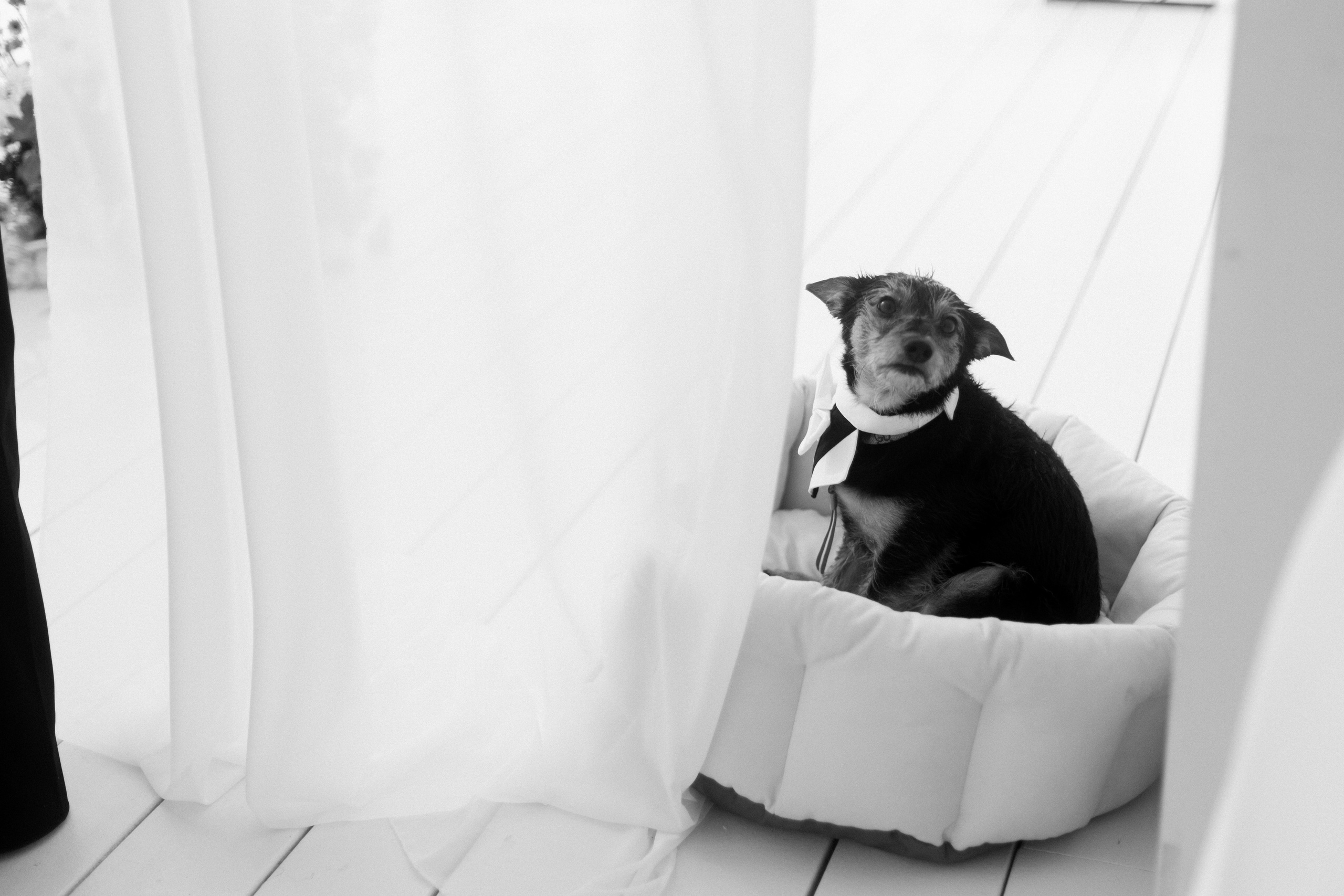 Maria&Andrey. Свадебный фотограф в Москве Дмитрий Тарасов