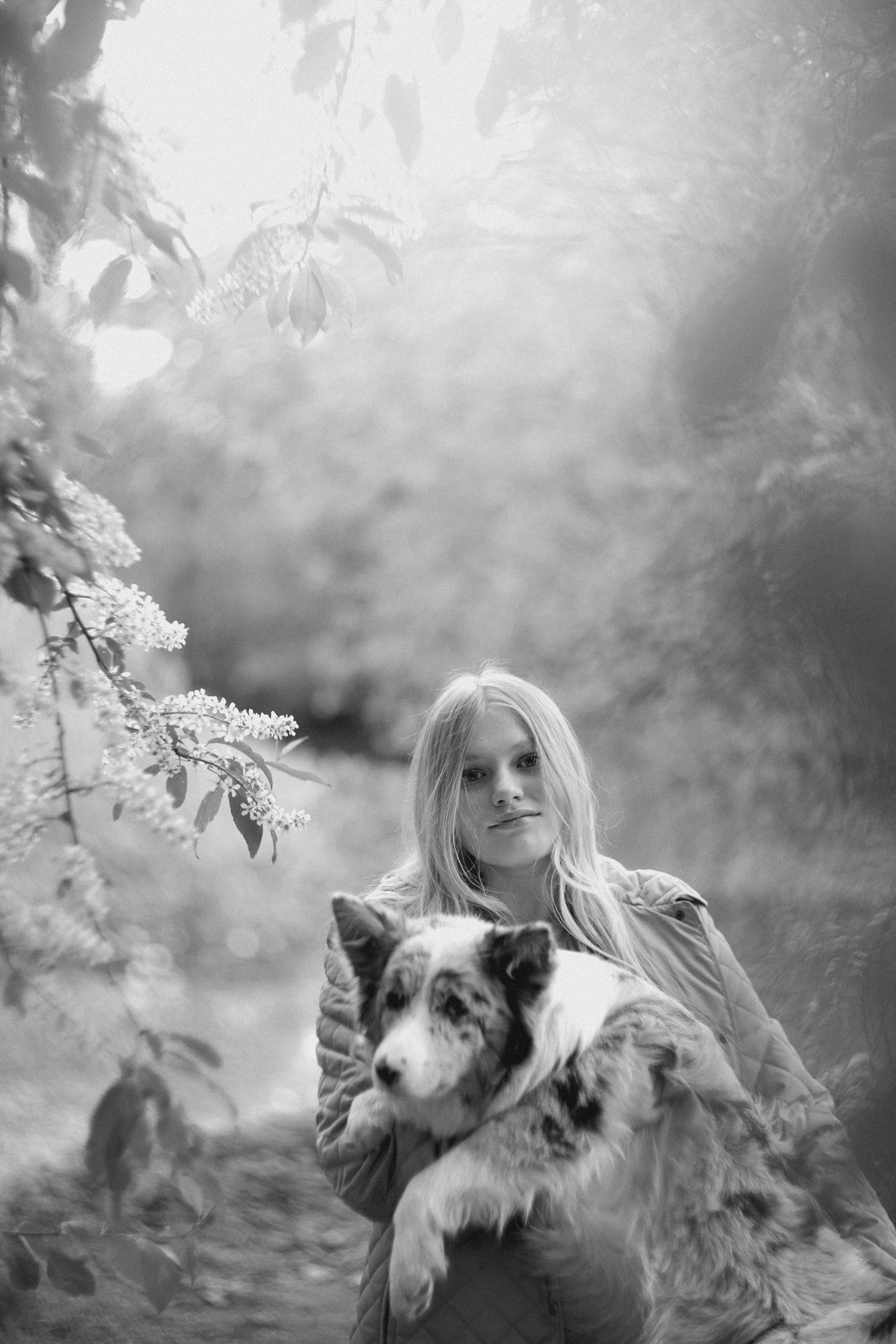 Света, Катрин и Умка. Фотограф анималист в Москве и Санкт-Петербурге Свиридова Анна