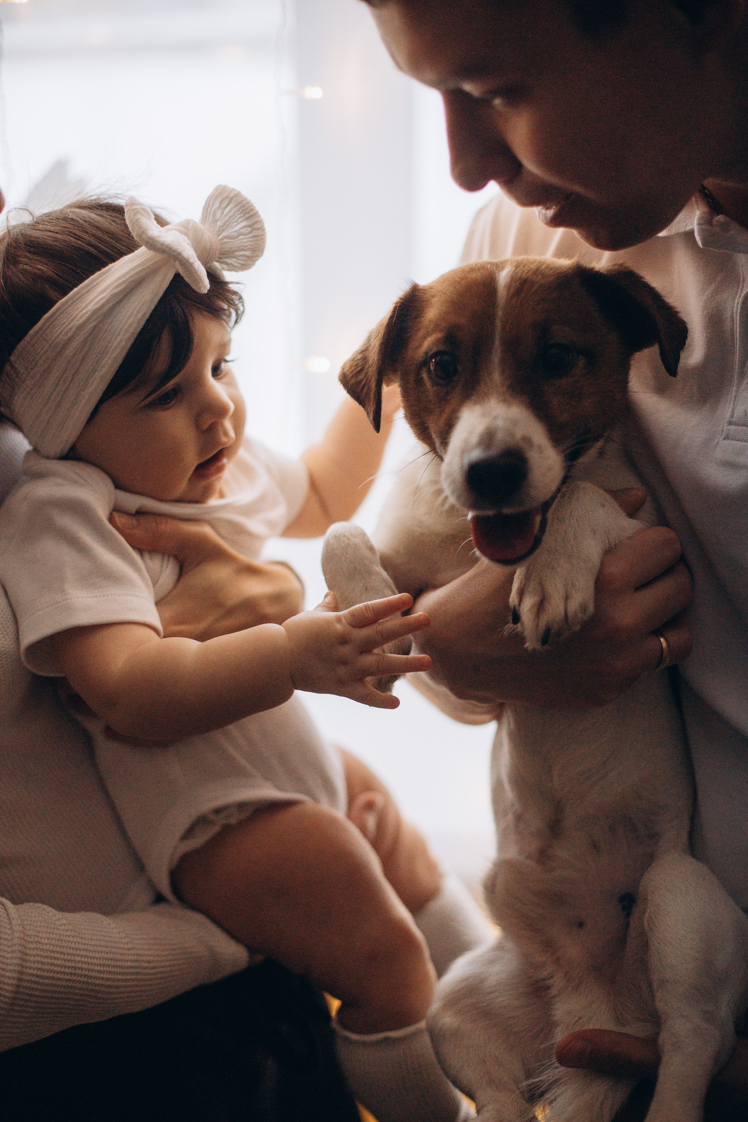 Джой и его семья. Фотограф — Анималист | Санкт-Петербург