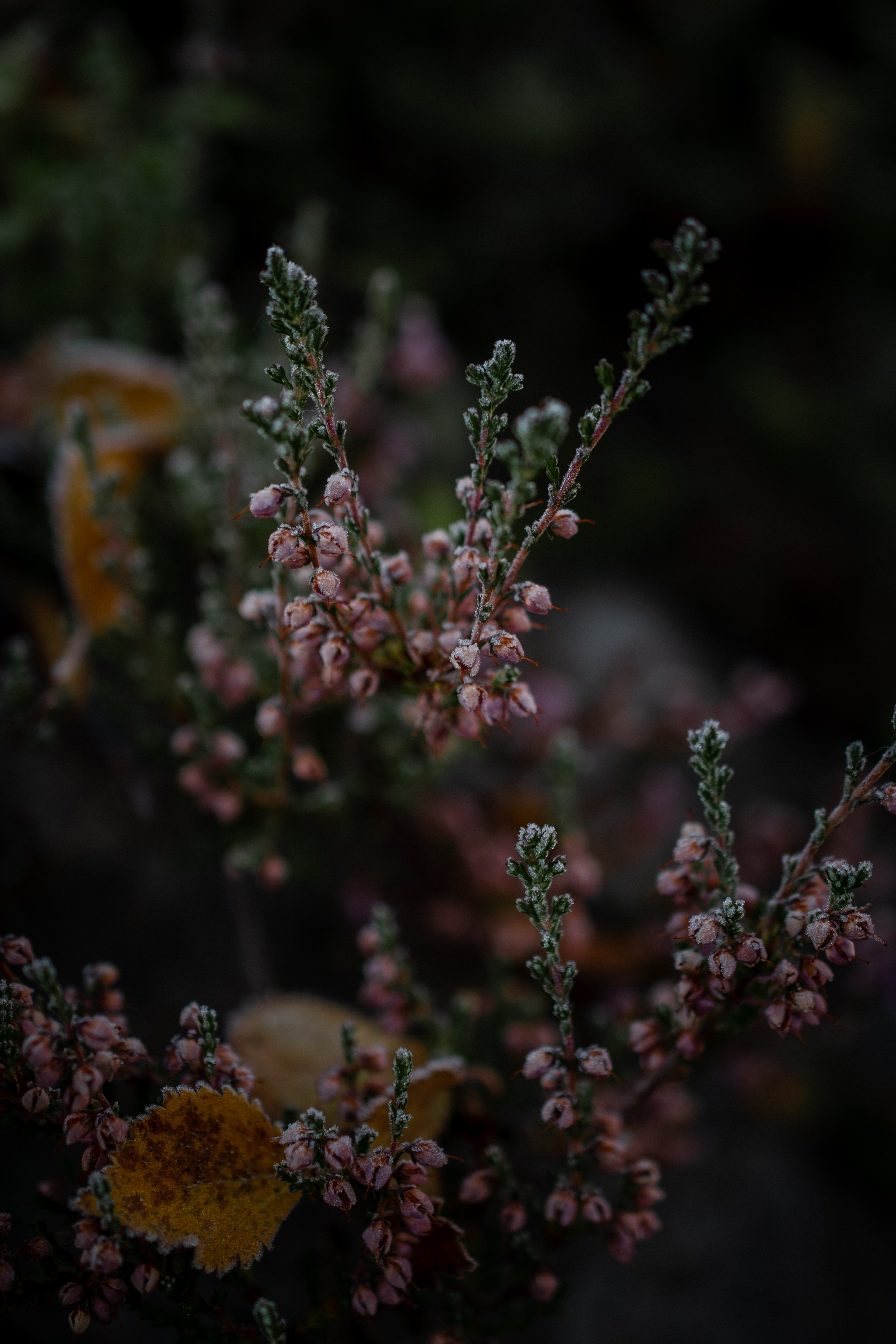 АВТОРСКИЕ ОТКРЫТКИ, 150руб. Фотограф Наталья Могилевская Мурманск Териберка Сейдозеро Рыбачий