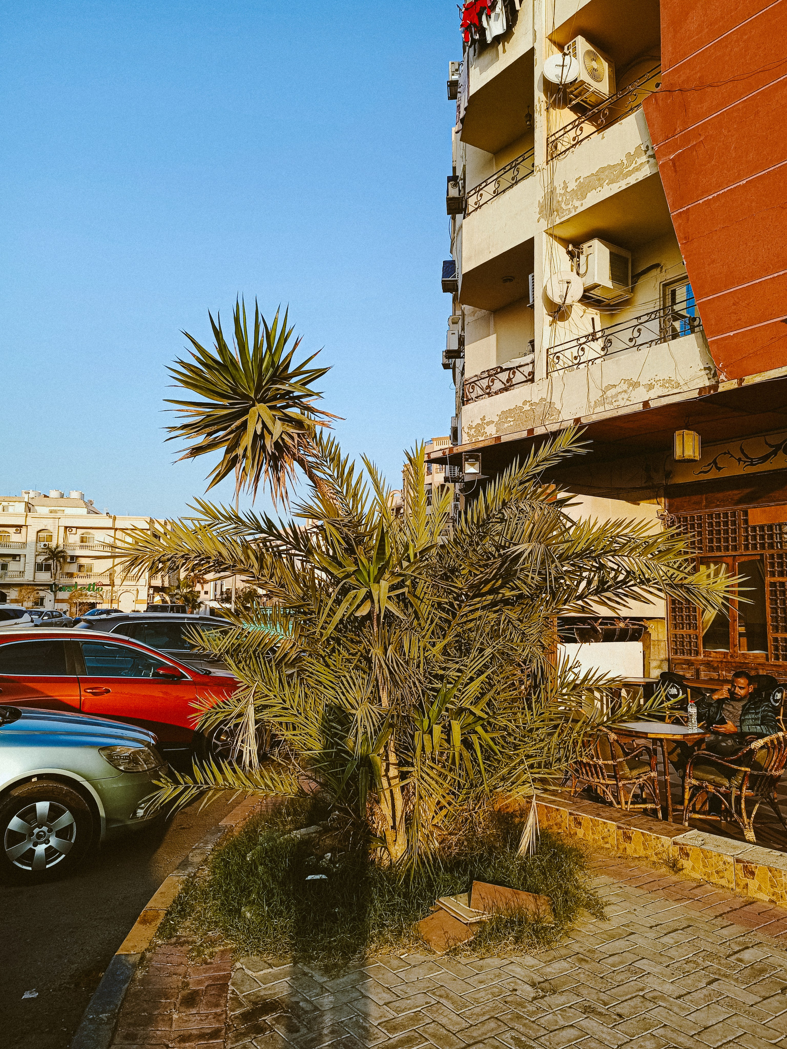 Мобильная. Jorgis — фотограф в Хургаде / обучение фотографии