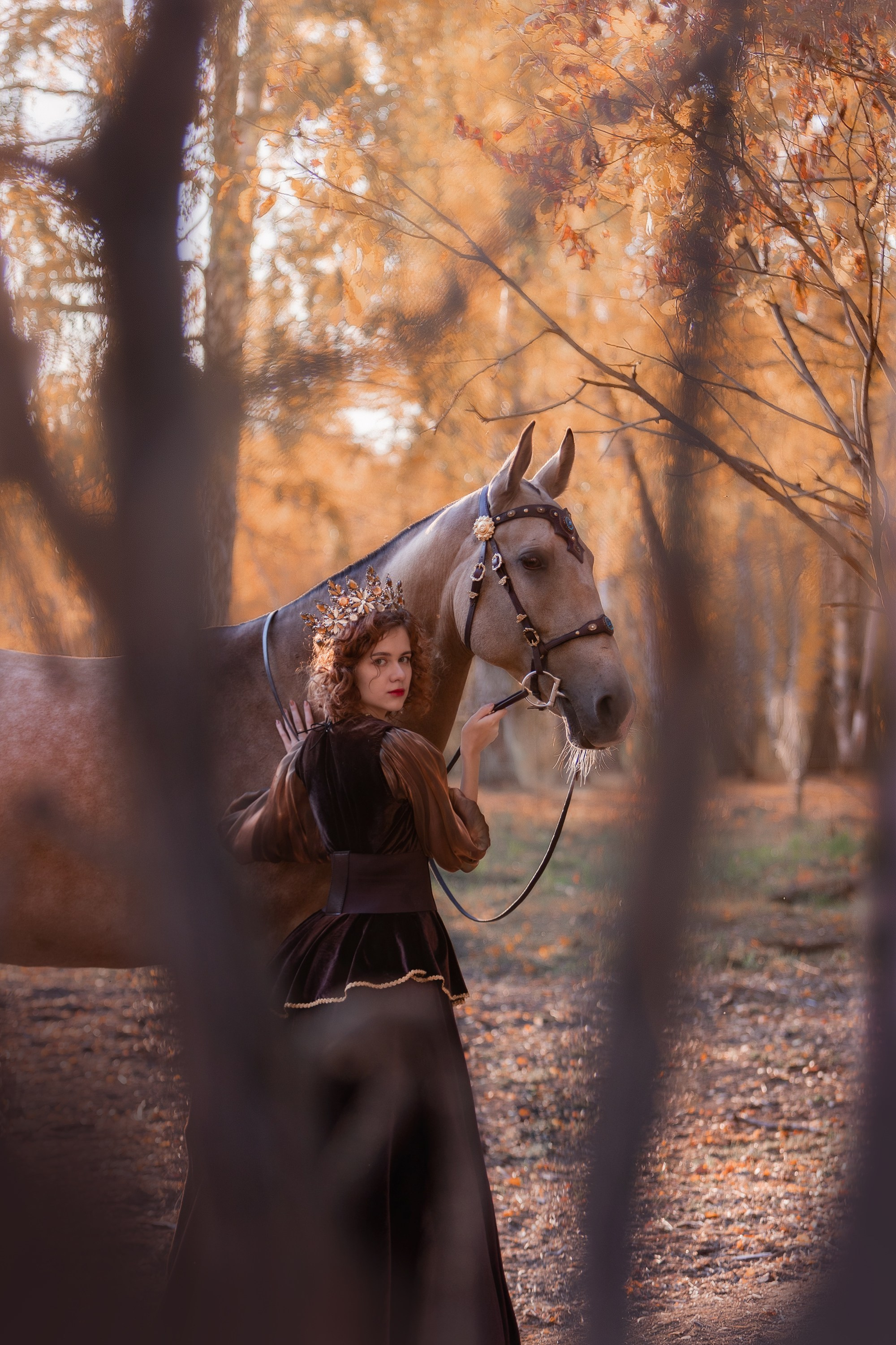 Фотосессии с лошадьми. Главная