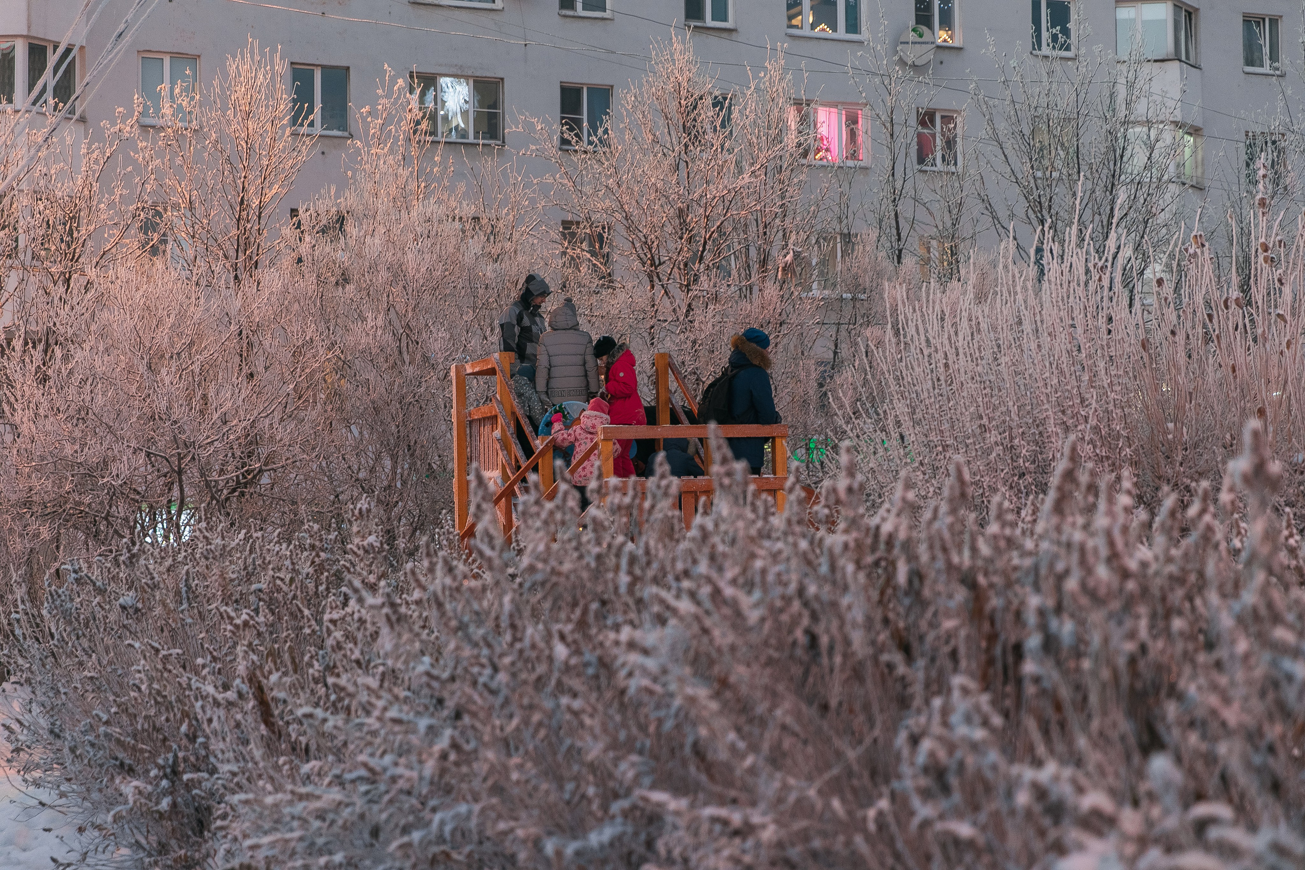 Планета. Фотограф FOTOBANKA