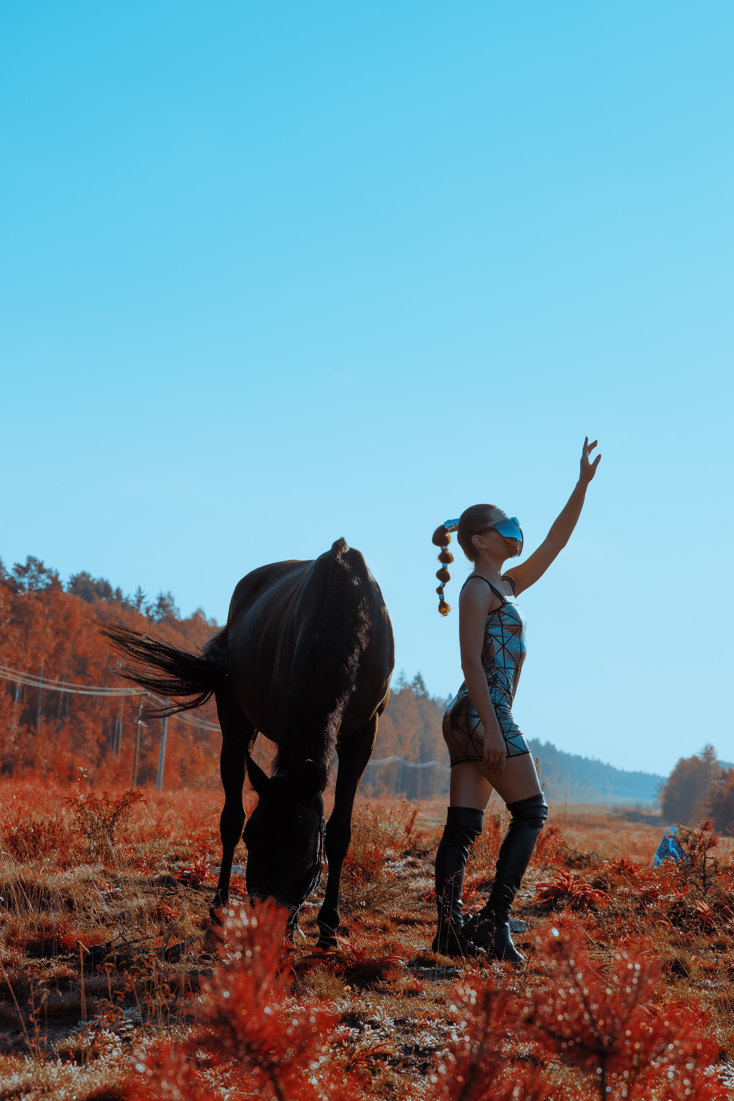 Первый контакт. Конный фотограф в Санкт-Петербурге Анна Лебедева