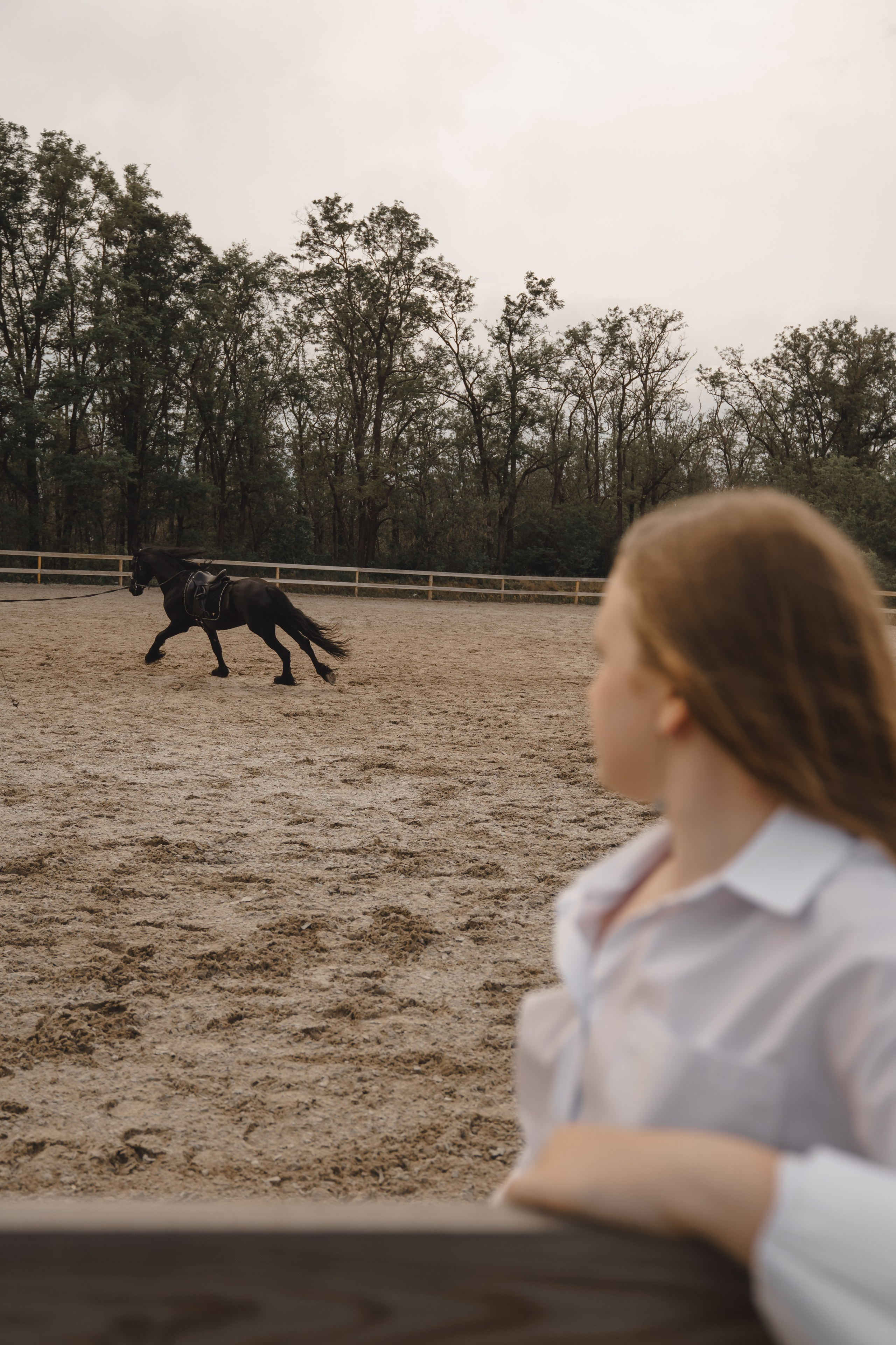 Алиса и Фантом. Свадебный и репортажный фотограф Ростов-на-Дону Алексей Гуль
