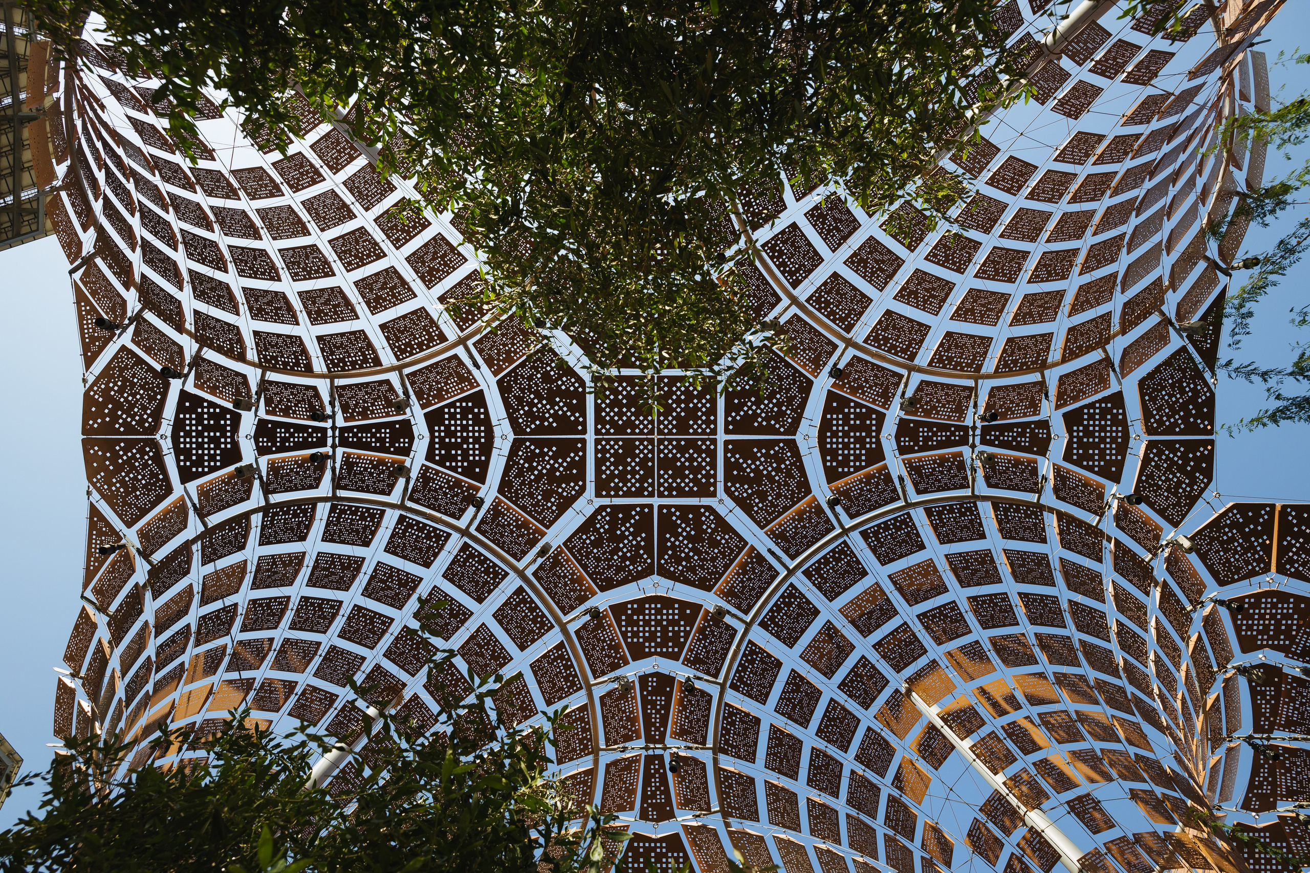 Дубай 2023. Руслан Плахтеев