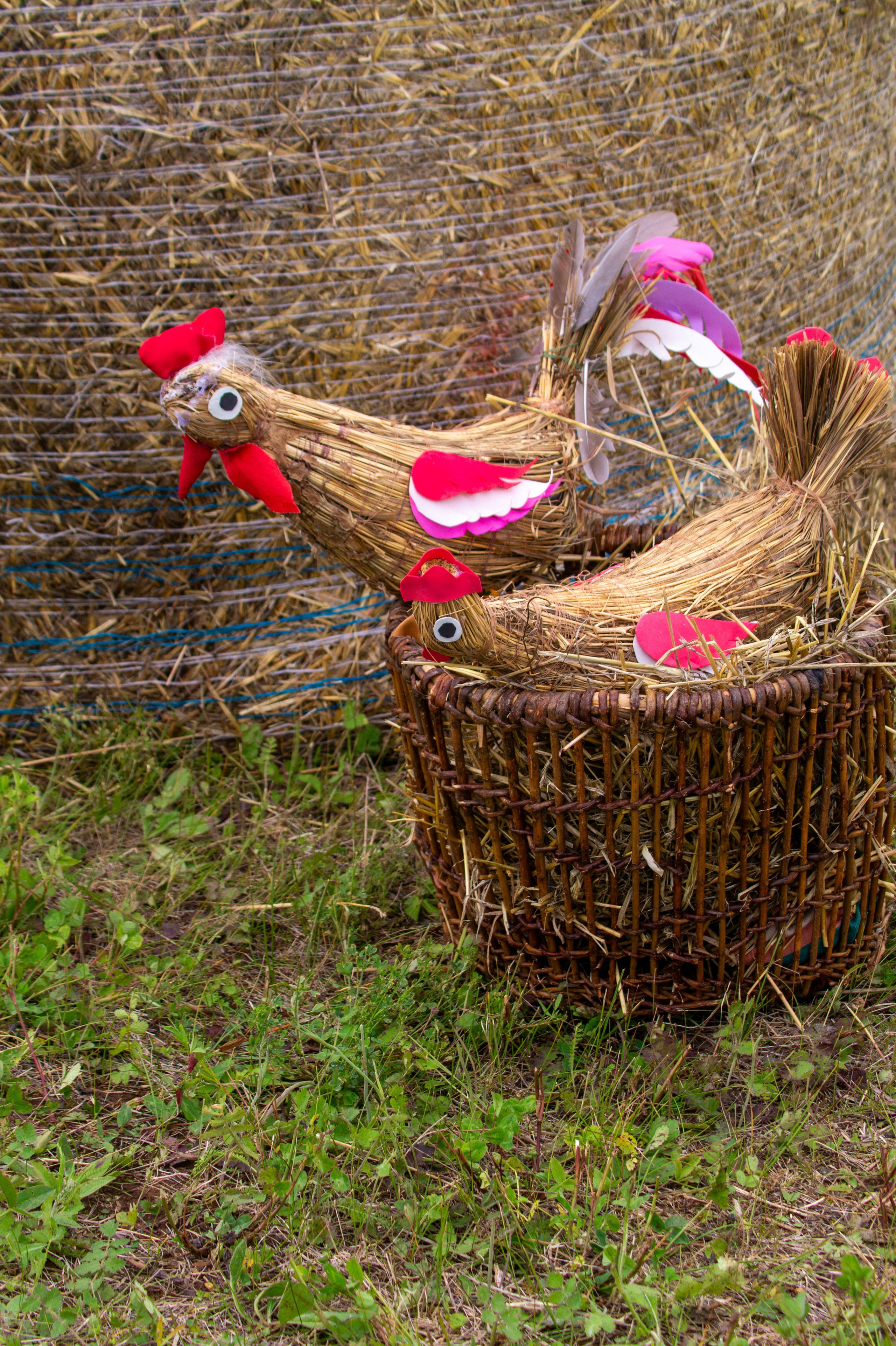 Всероссийский собантуй 2025. Портретный и семейный фотограф Санкт-Петербург