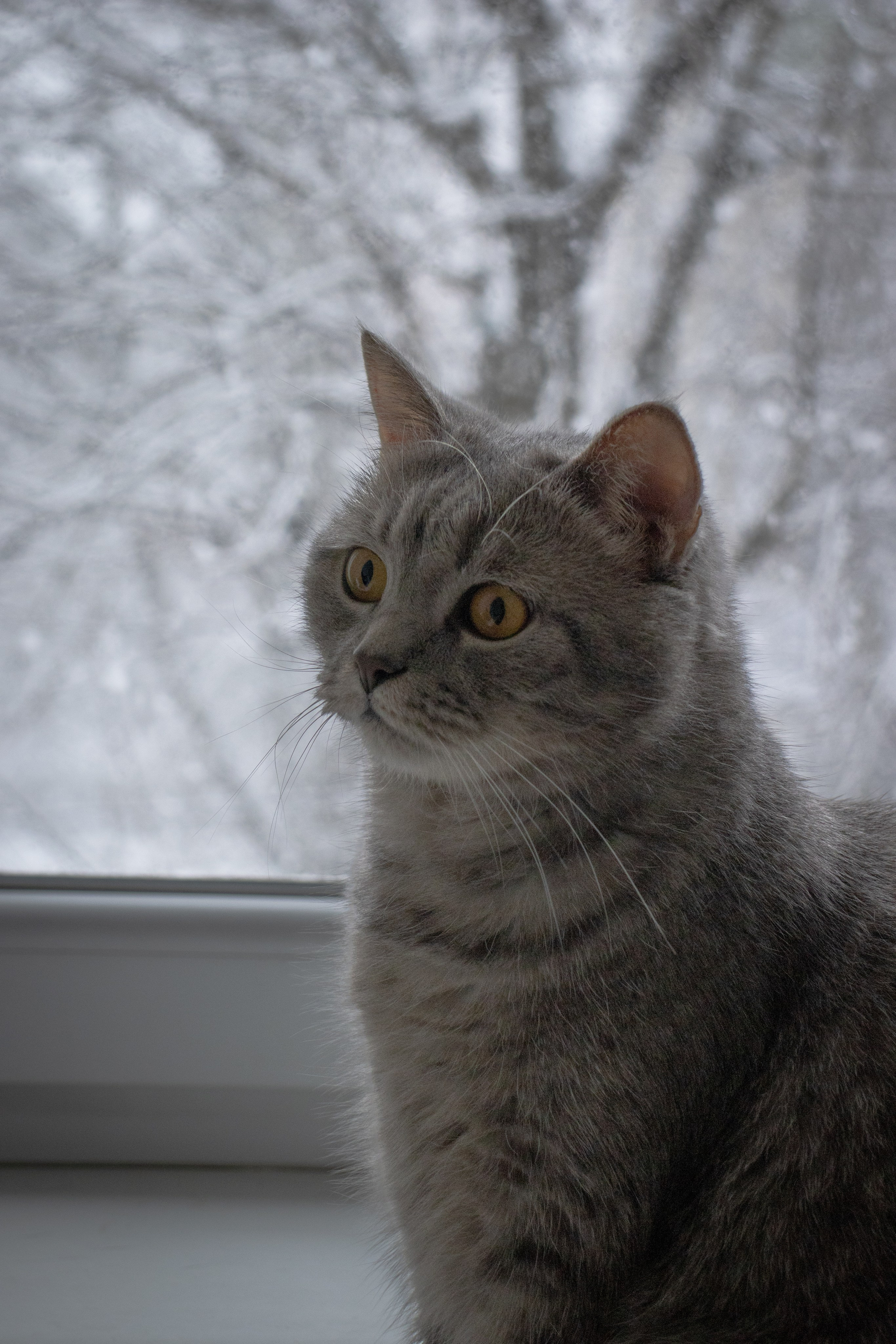 М А Р Т И Н. — Digital Noise —