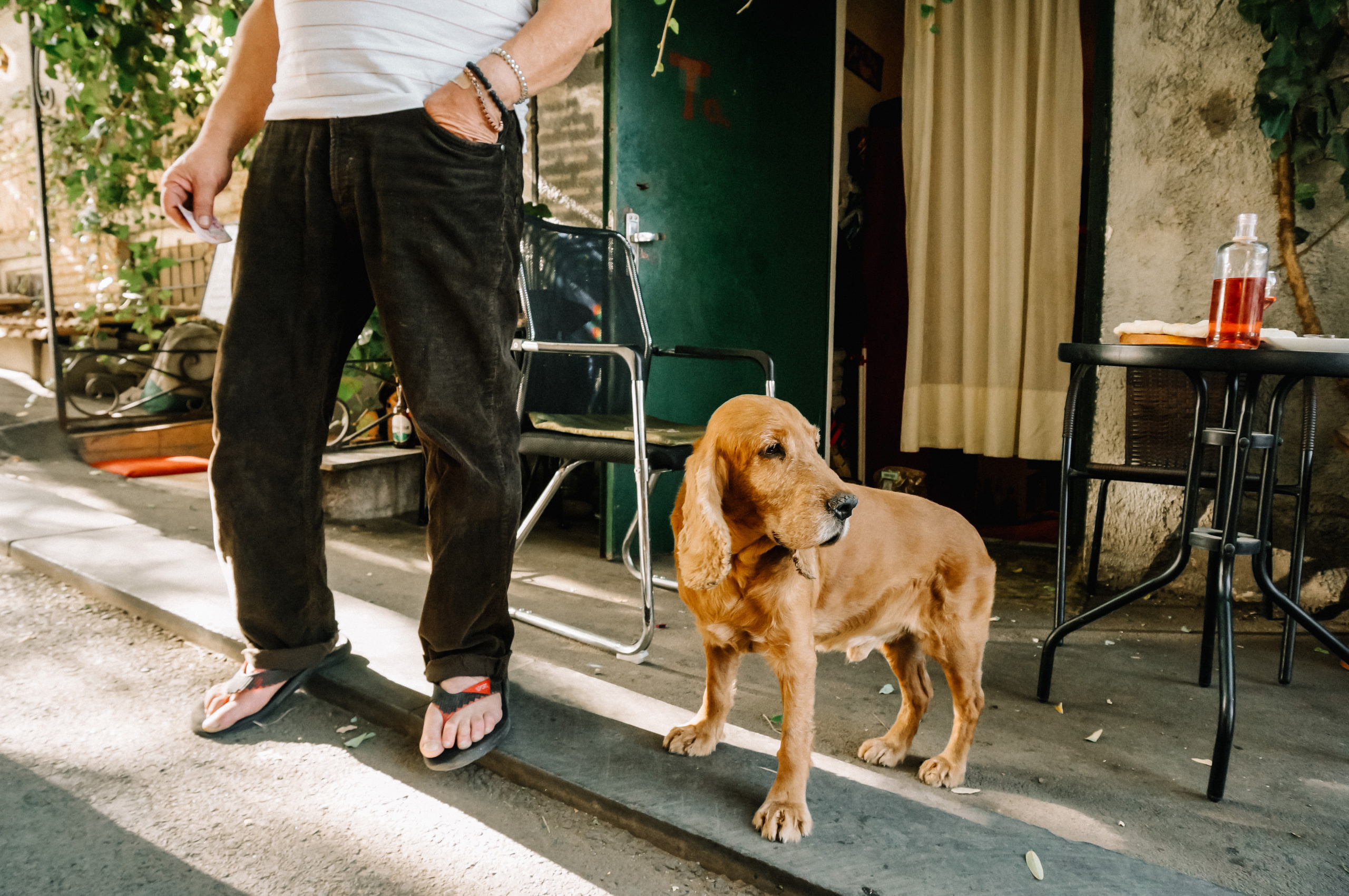 Тбилиси. Алиса Пиневич Фотограф Москва